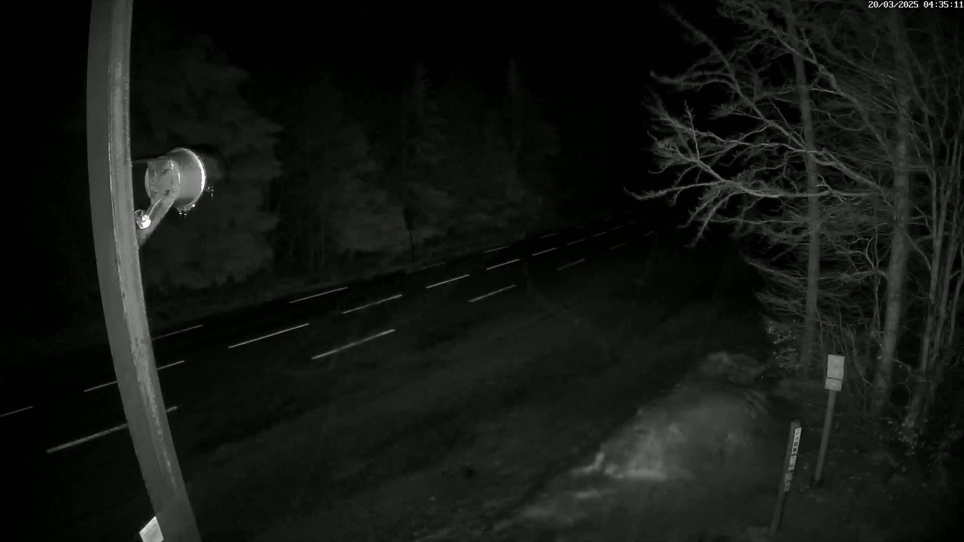 A nighttime view of a road with white lane markers, flanked by dark trees and a security camera mounted on a pole.