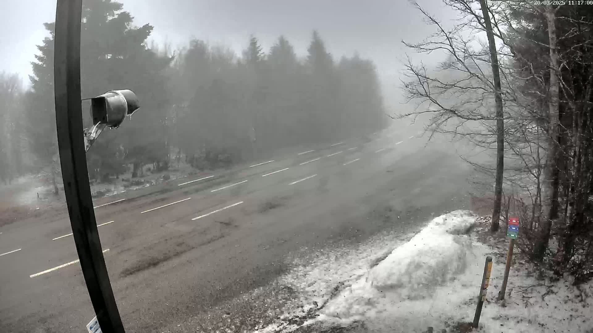 A snow-covered roadside view shows a multi-lane road in heavy blowing snow with a wooded area on either side.