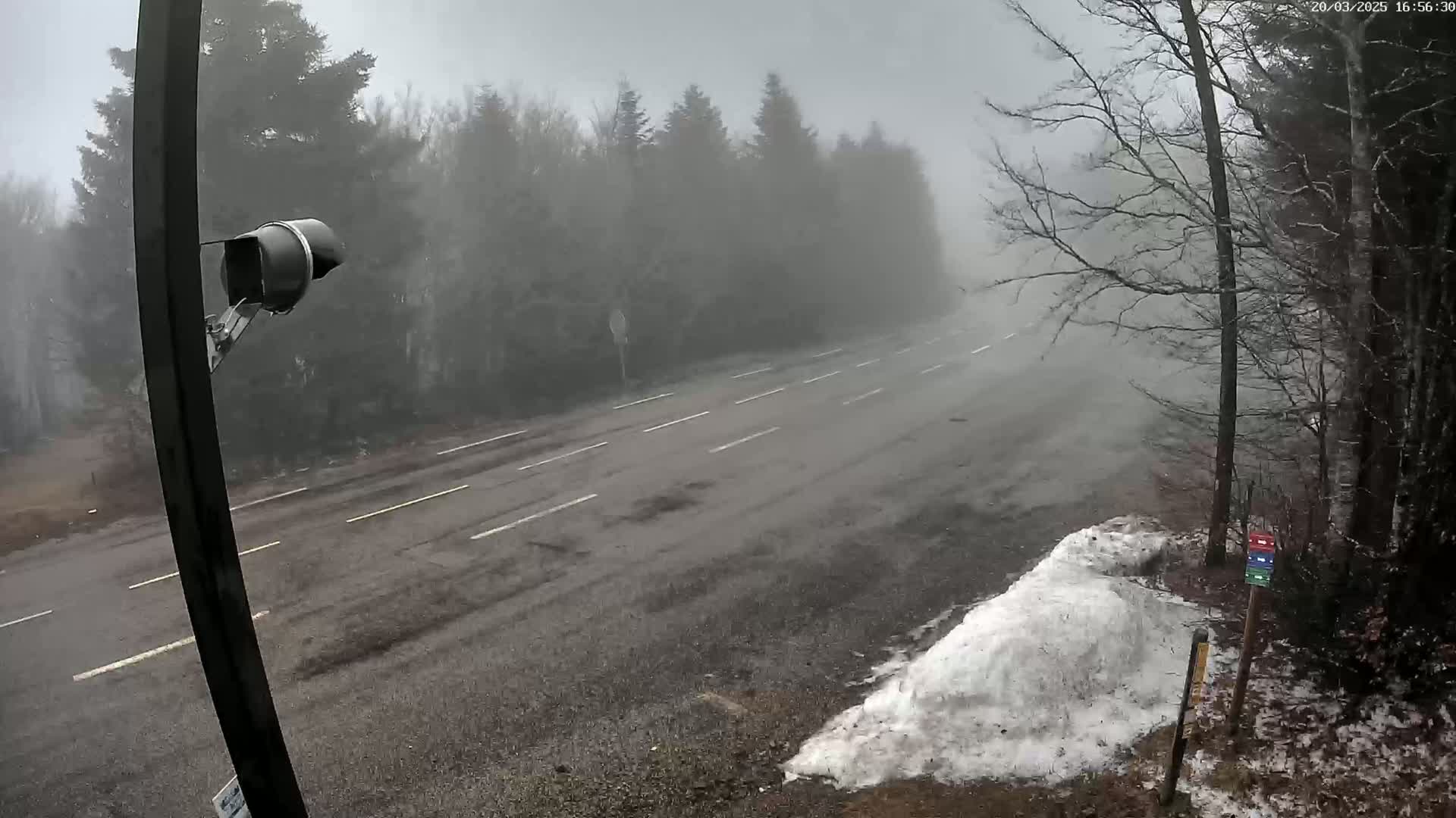 A foggy, snowy road winds through a wooded area, with a security camera mounted on a post to the left.
