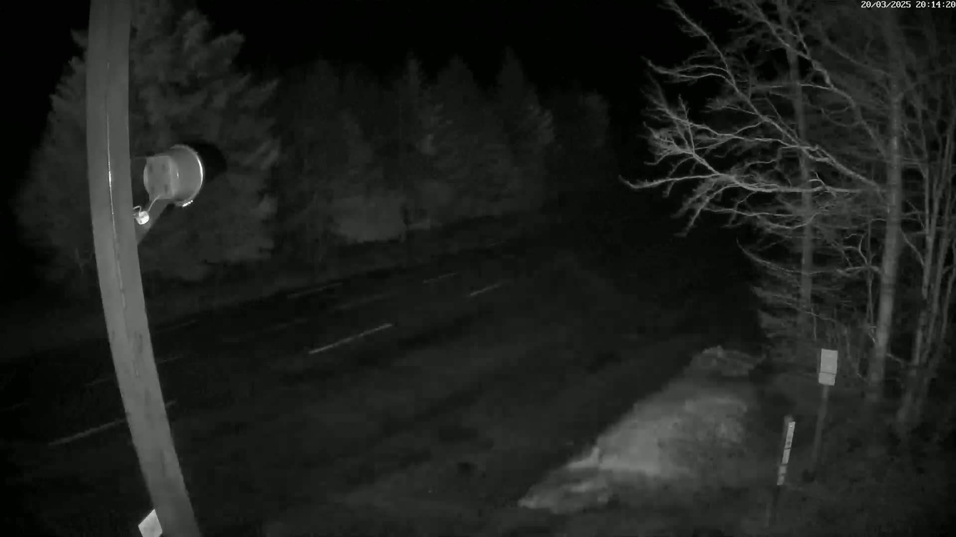 A nighttime, low-light image shows a dark road bordered by trees and a lamp post with a light fixture attached.