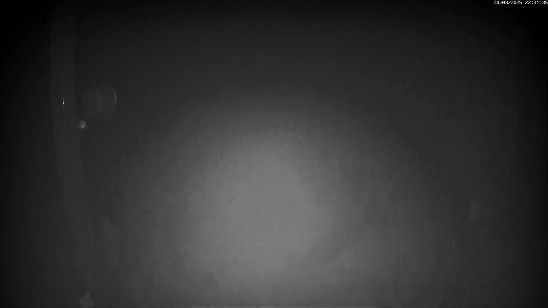 A grainy, dark gray image shows a dimly lit area with a blurry, indistinct object on the left.