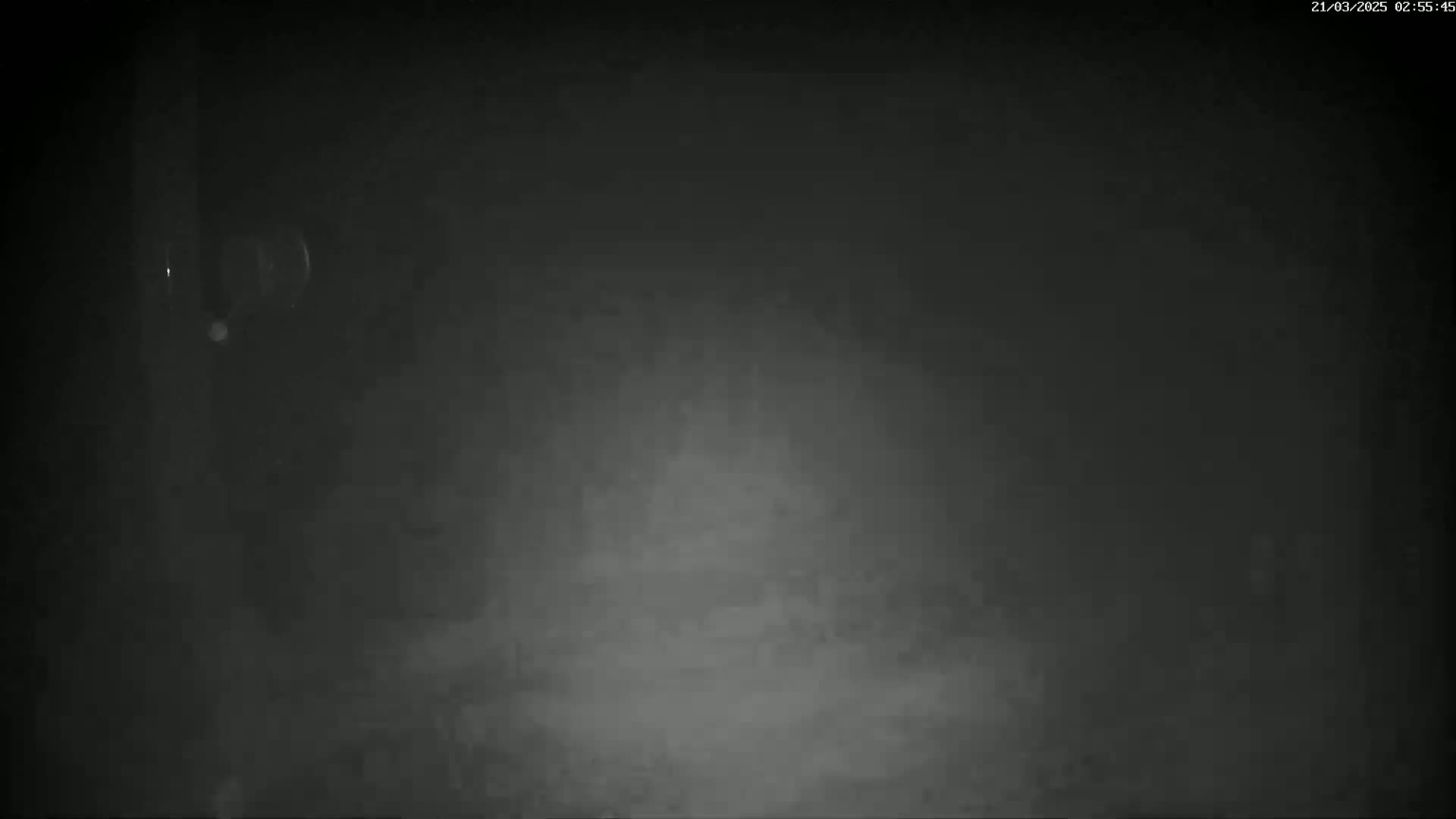 A dimly lit, foggy or hazy scene is visible, appearing to be an outdoor space at night.