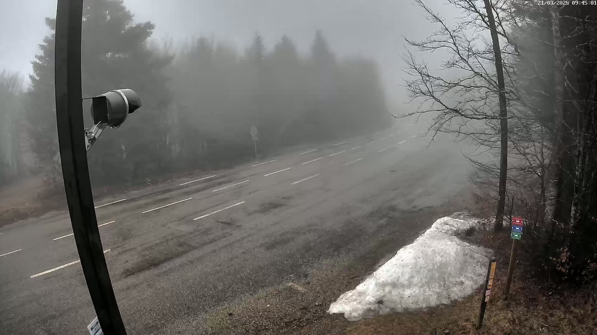 A foggy, empty two-lane road cuts through a wooded area, with a patch of snow visible on the roadside.