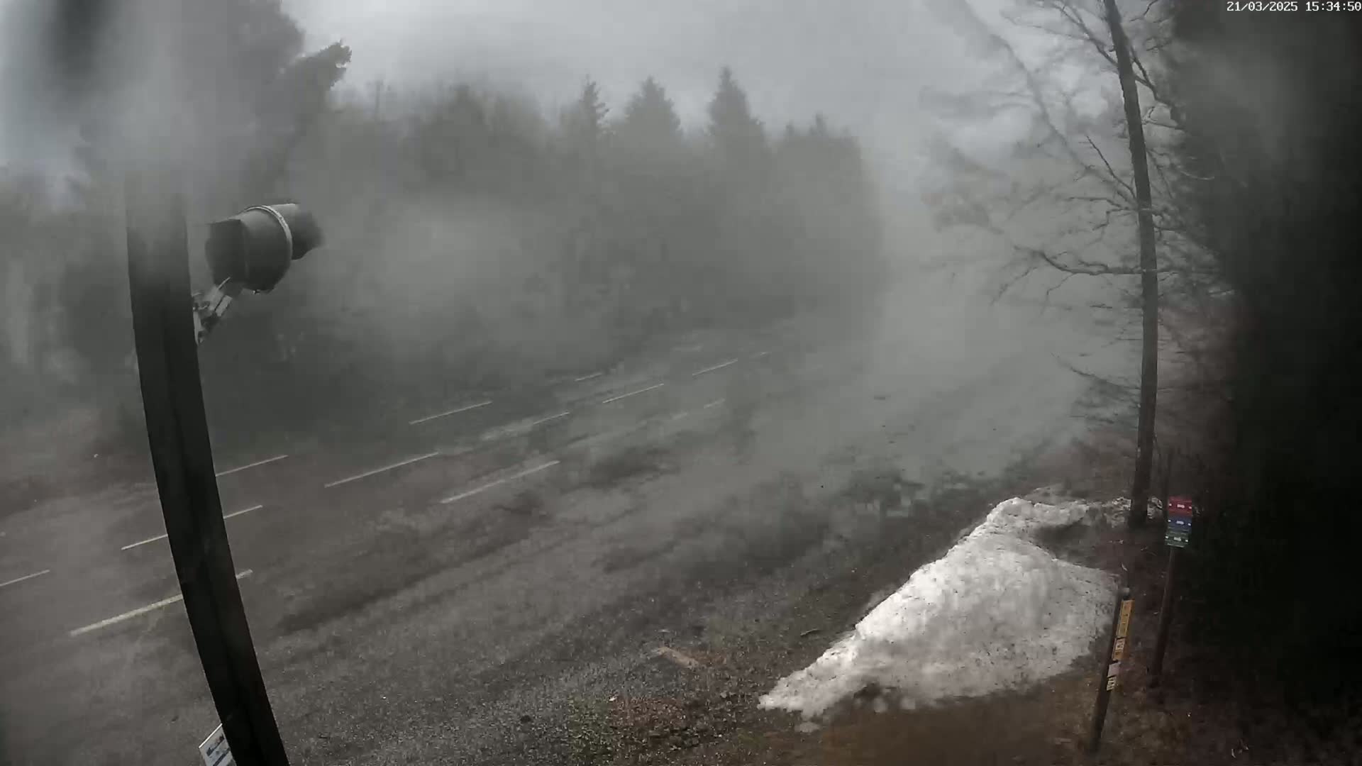 A rain-swept road is visible through a hazy atmosphere, with a patch of snow to the lower right and trees lining both sides.