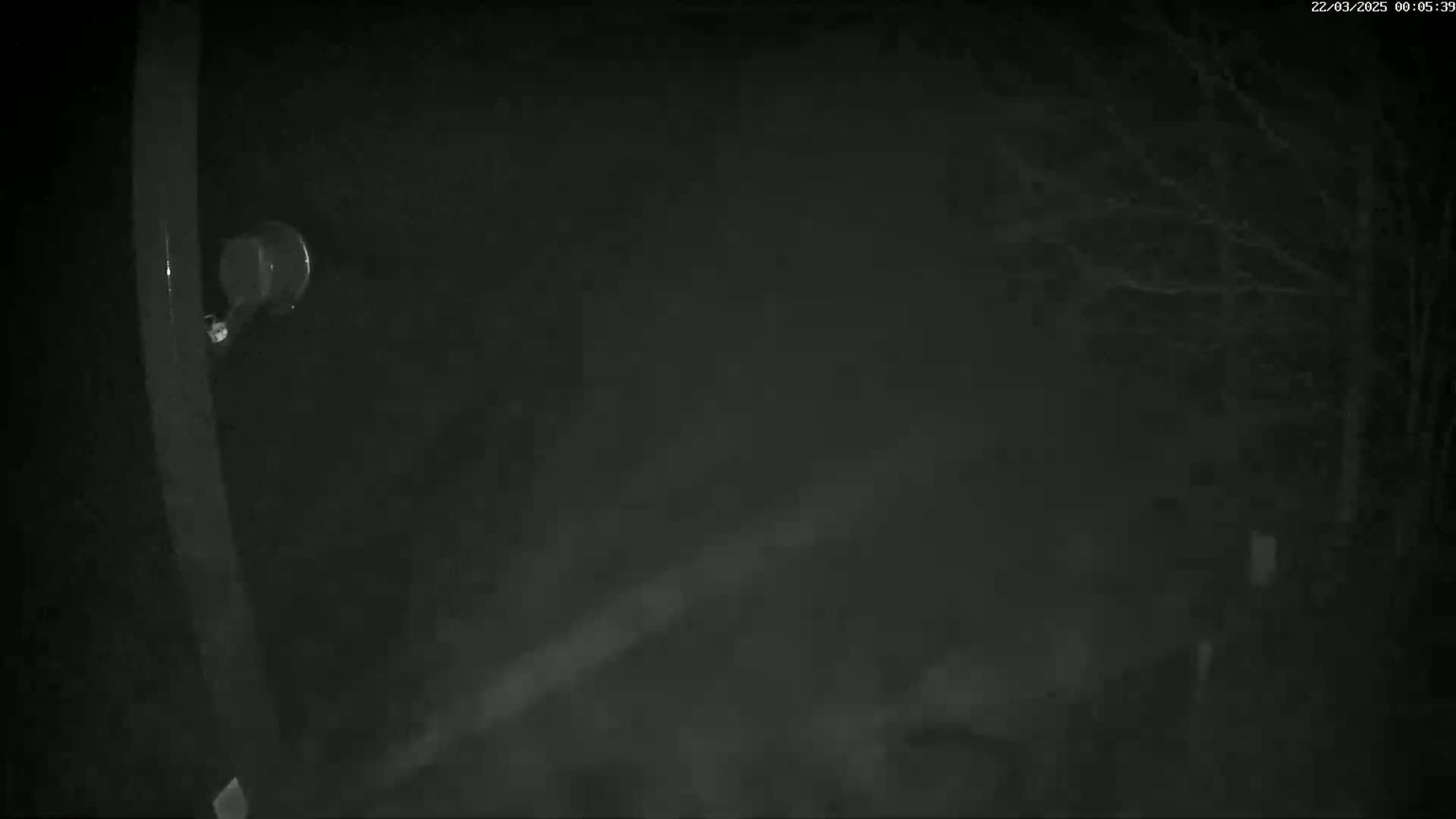 A nighttime outdoor scene shows a blurry, hazy view of bare trees and a security camera attached to a post.