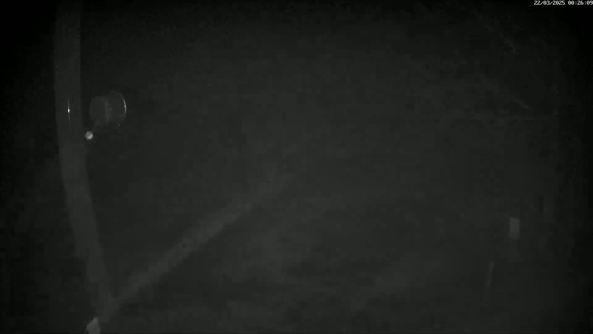 A nighttime, grainy, black and white image shows a blurry view of what appears to be a dark, outdoor scene with a small, round mirror attached to a pole.