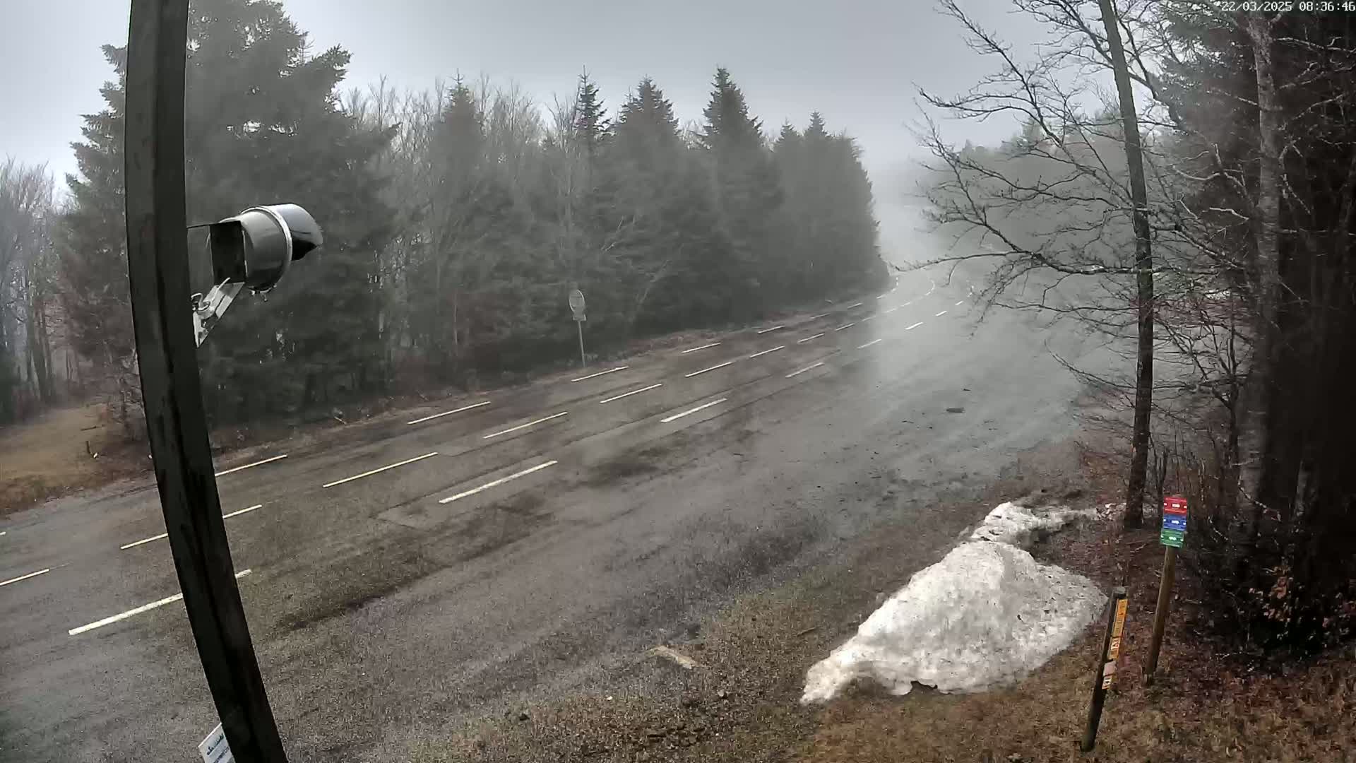 A wet, foggy road winds through a wooded area with a small pile of snow visible near the roadside.