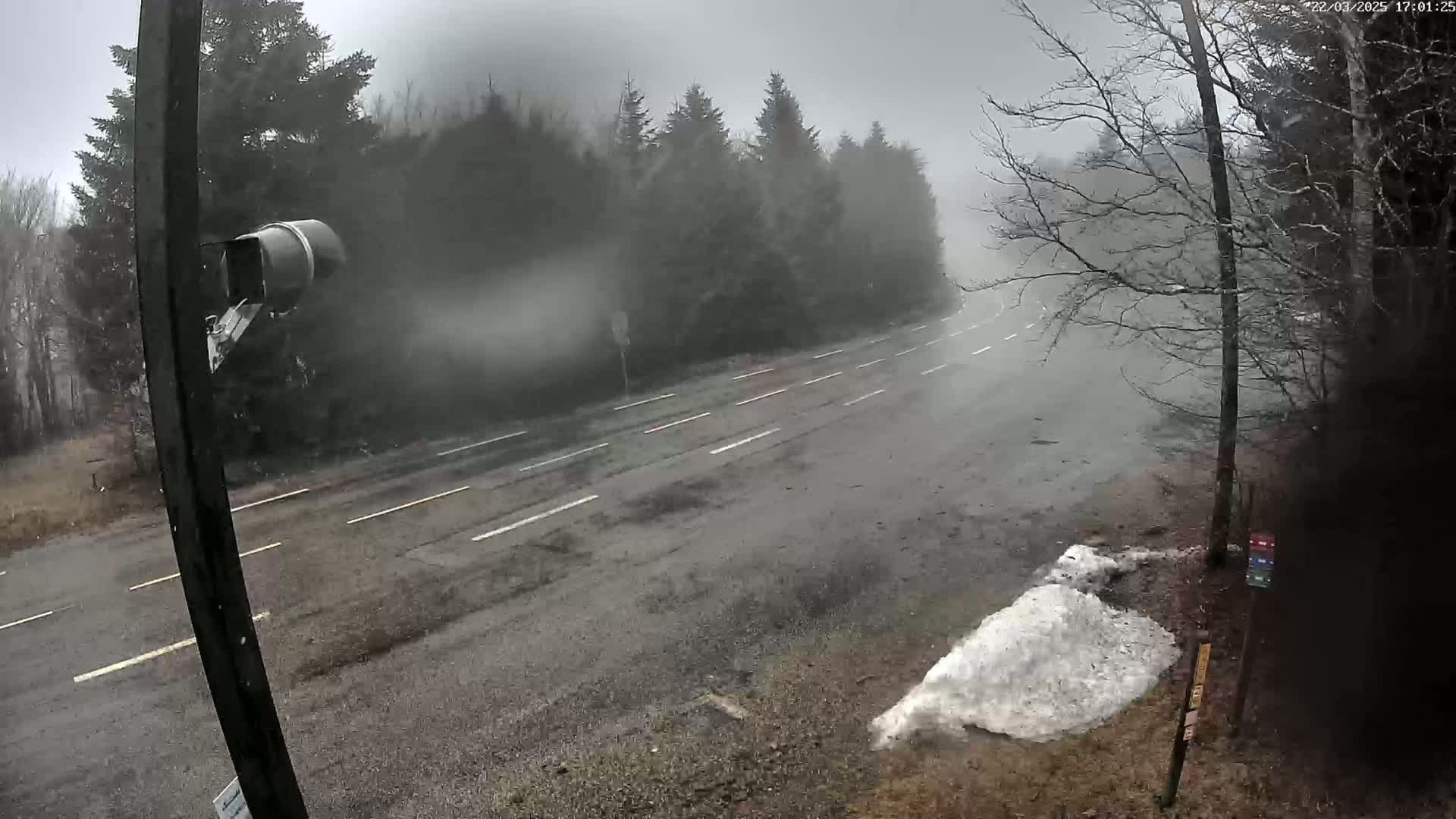 A wet, two-lane road bordered by trees and a small pile of snow is visible in a foggy, overcast setting.