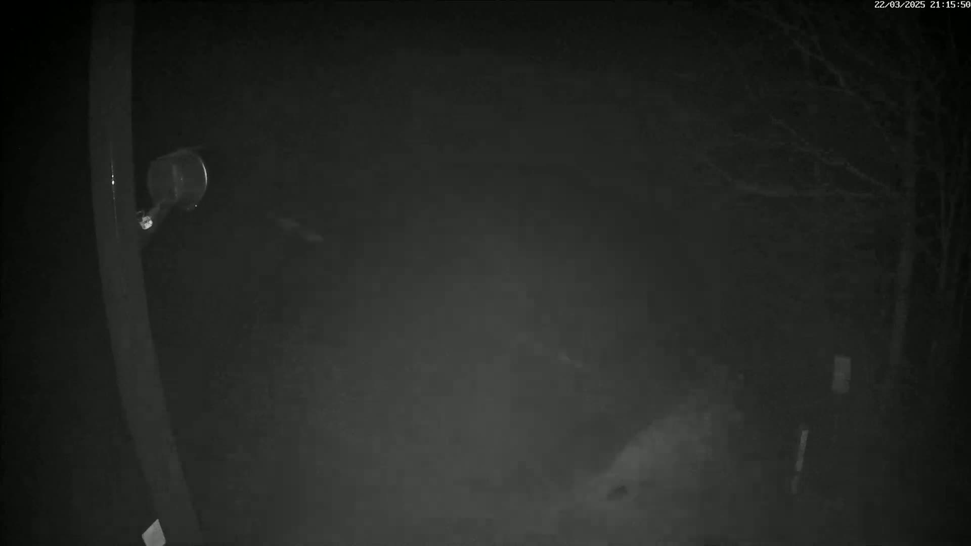 A nighttime, foggy outdoor scene shows a portion of a dark structure, a security light, and bare tree branches.