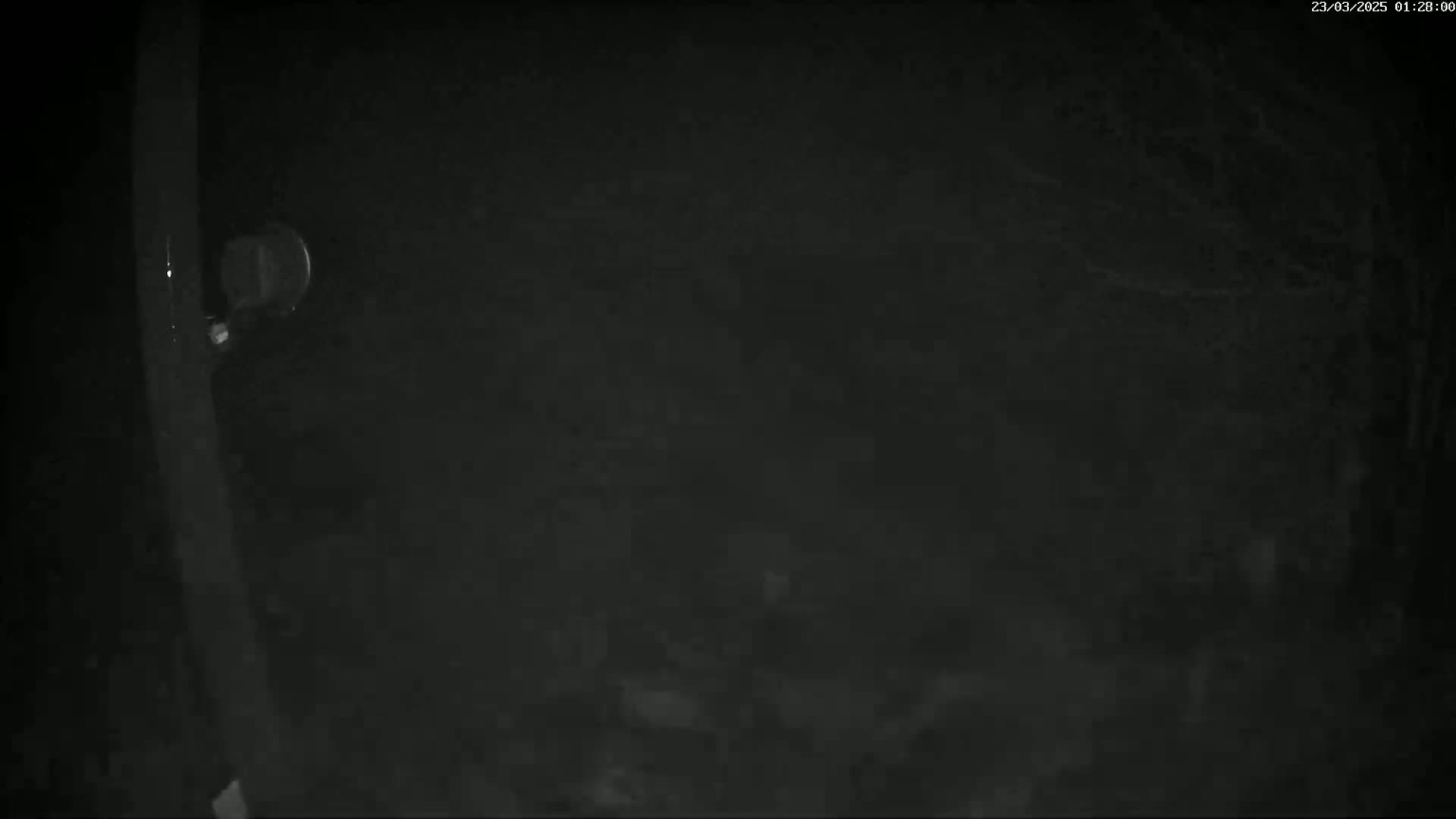 A dark, nighttime scene shows a portion of a dark object, possibly a pole or post, with a small circular object attached near the top against a blurry, dark background.