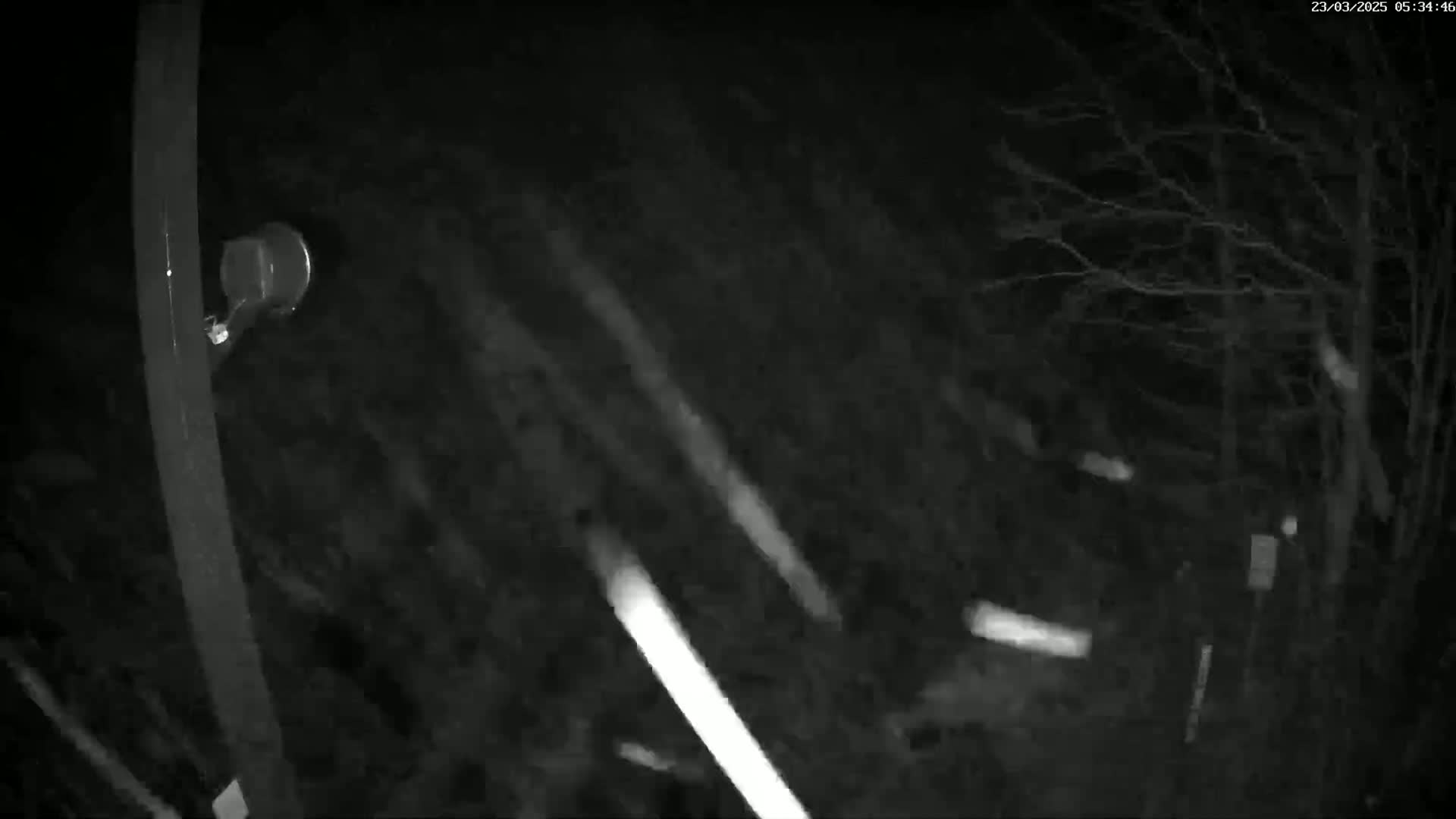 A nighttime, snowy scene shows bare branches of trees and a dark pole with a camera attached to it.