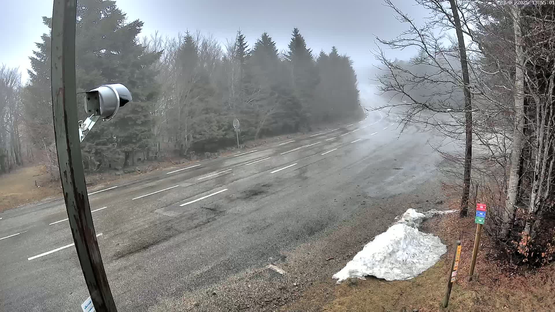 A foggy, overcast day reveals a mostly empty two-lane road winding through a sparsely populated forest with a small pile of snow at the roadside, next to a security camera mounted on a pole.