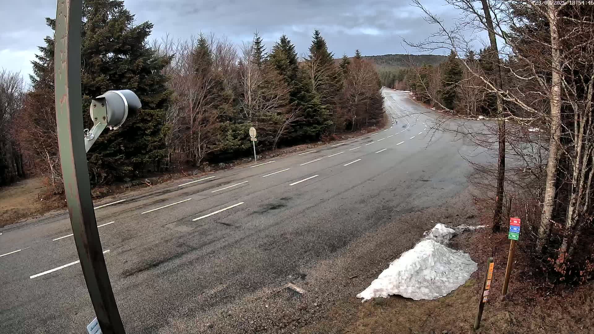 A mostly empty asphalt road curves through a forest under an overcast sky, with a small pile of snow visible near the roadside.