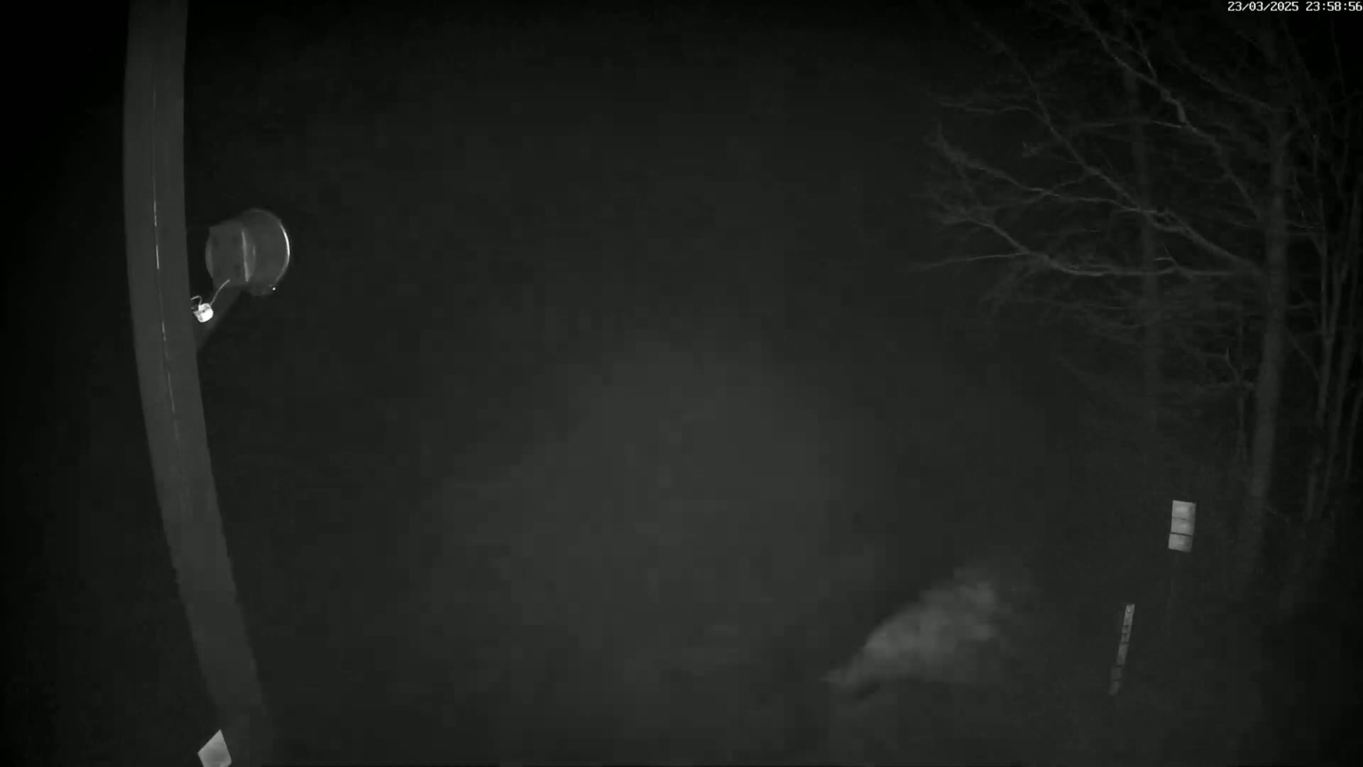 A nighttime, low-visibility outdoor scene shows a portion of a dark pole and bare trees in the background, with a hazy or foggy atmosphere.