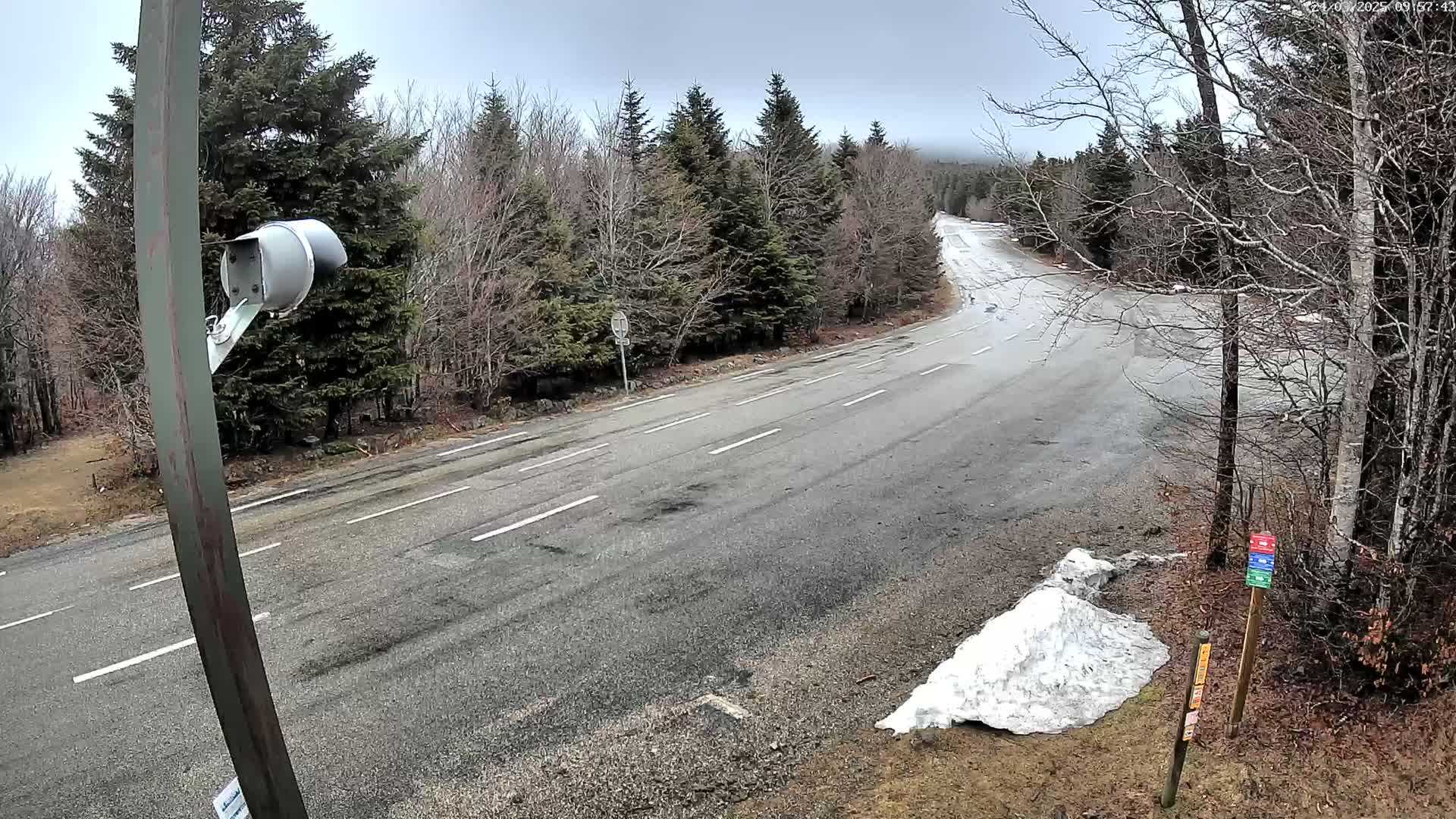 A paved road curves through a sparsely wooded area on an overcast day, with a small pile of snow visible near the roadside.