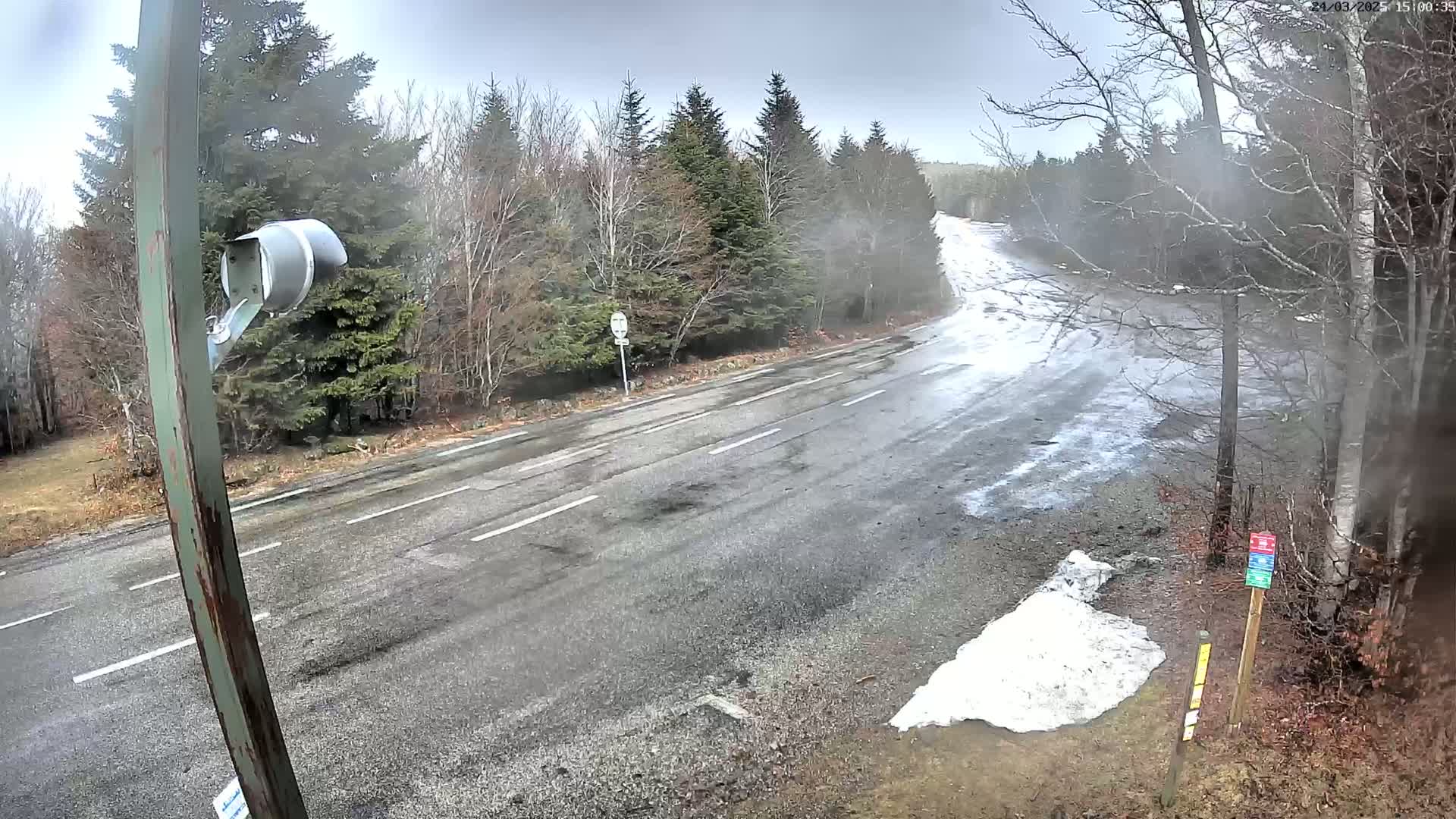 A wet, overcast road curves through a forest with patches of snow and ice visible on the road and ground.