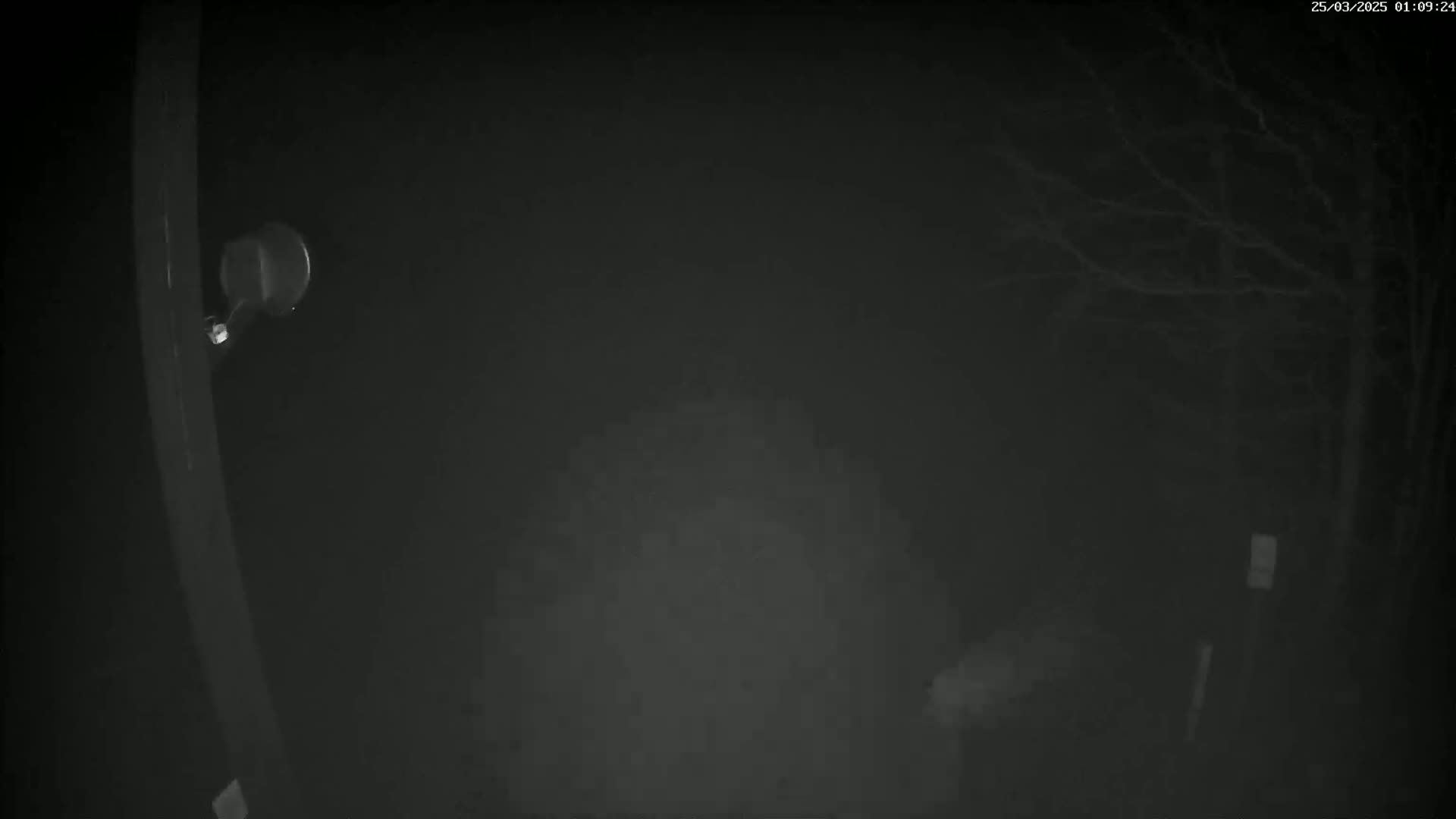A nighttime security camera image shows a dark, foggy scene with bare tree branches in the background and a lamp affixed to a post in the foreground.