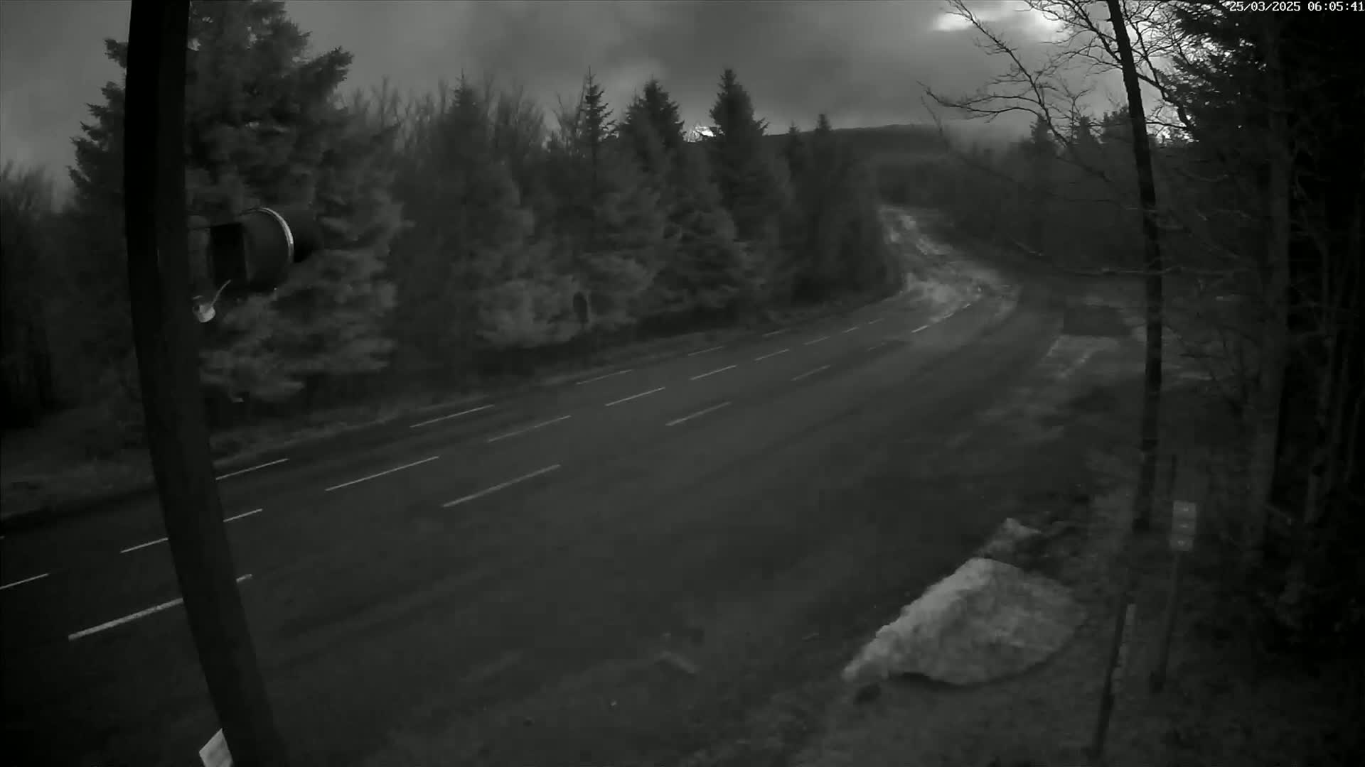 A dark, overcast sky hangs over a curving, empty road that winds through a wooded area with some snow on the ground.
