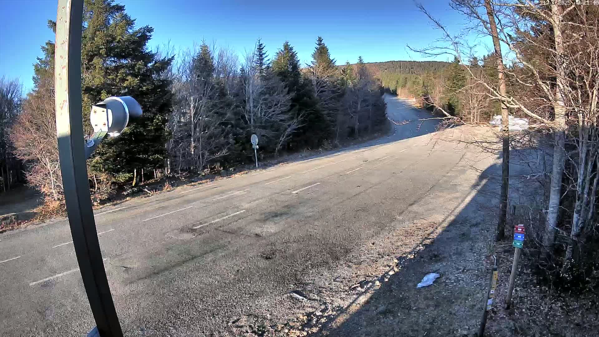 A mostly empty asphalt road curves through a sparsely wooded area on a sunny day.