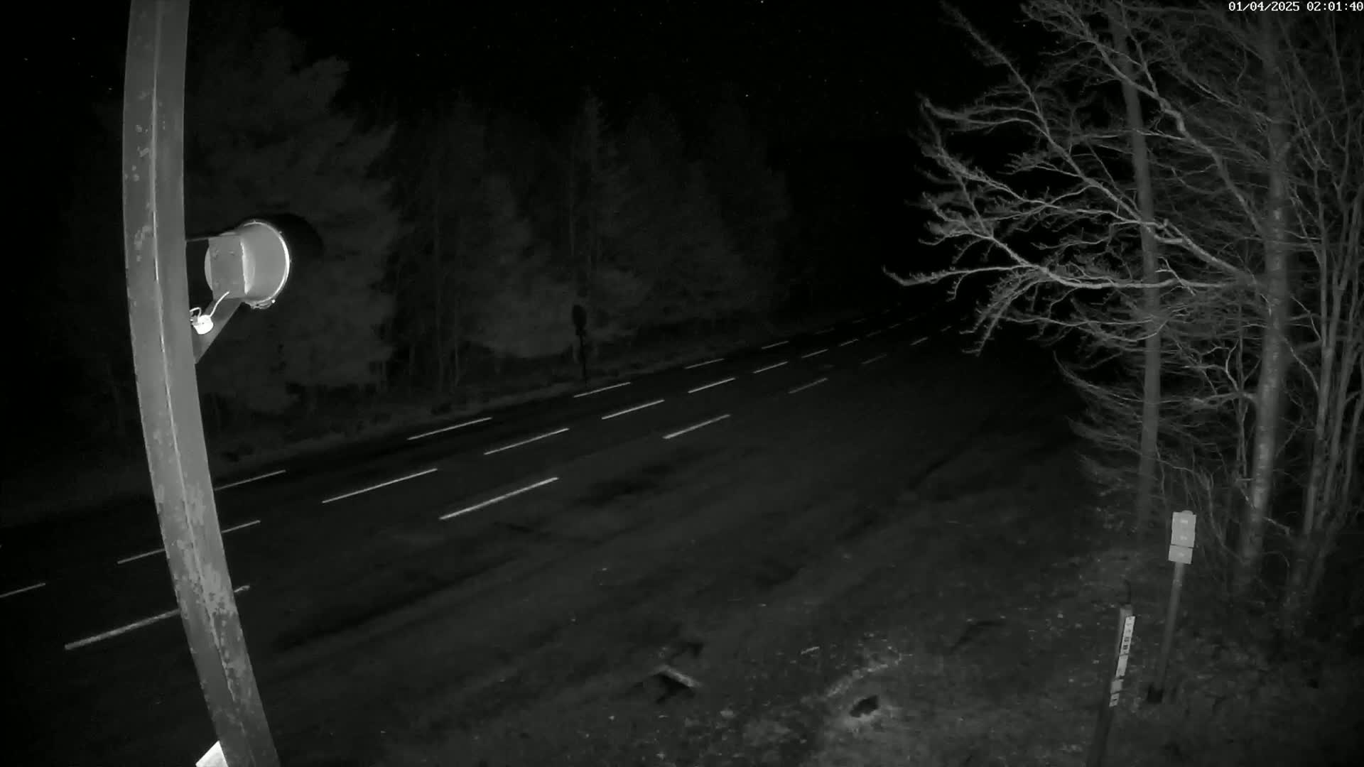 A nighttime view of a dark, empty two-lane road with white lane markings, bordered by leafless trees under a clear, starry sky.