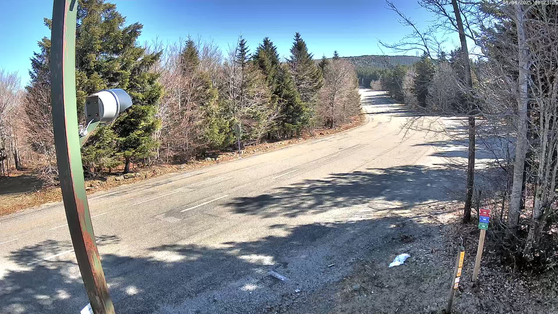 A mostly empty paved road curves through a sparsely wooded area on a sunny day.