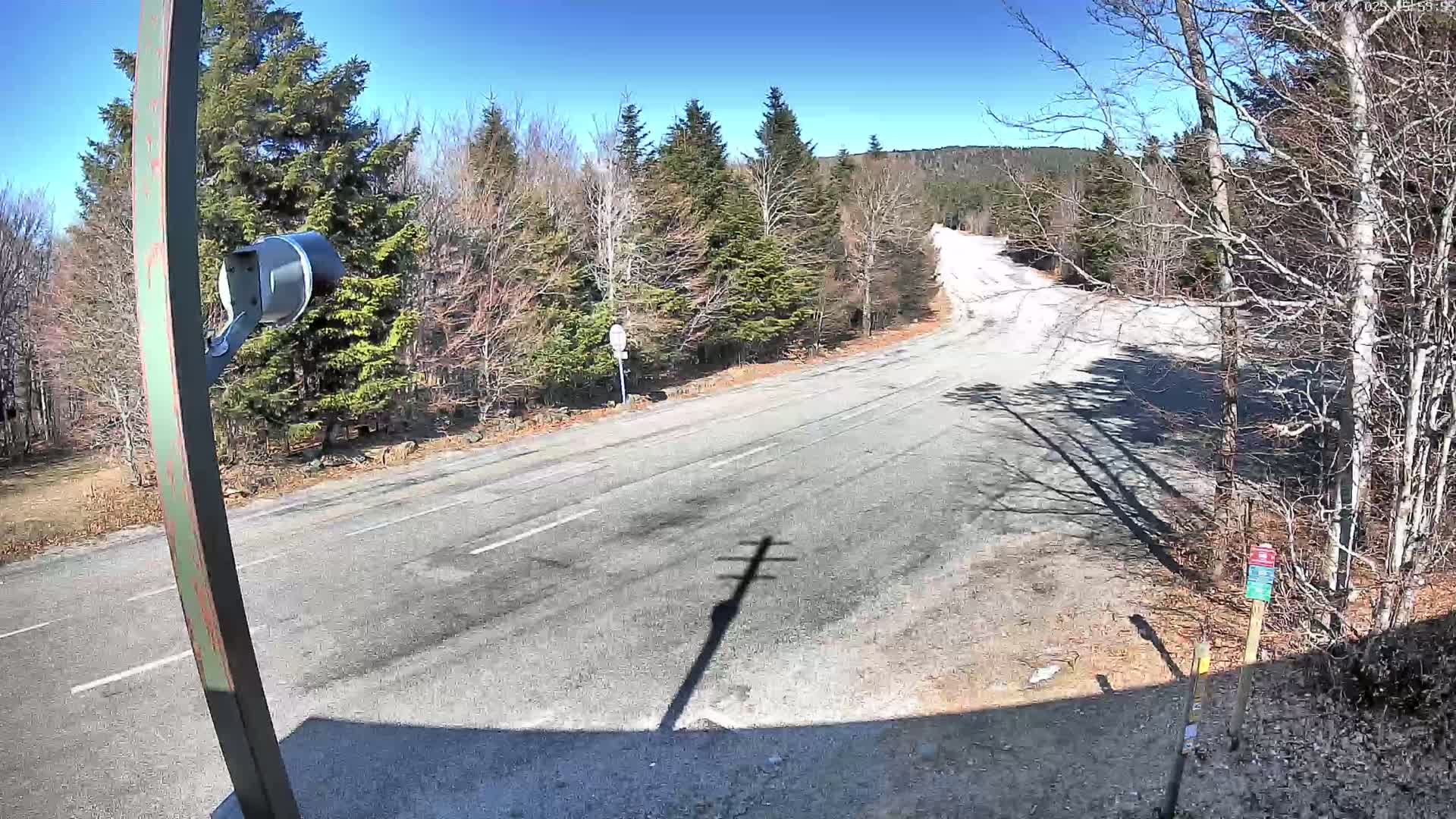 A mostly empty, paved road curves through a sparsely wooded area on a sunny day.