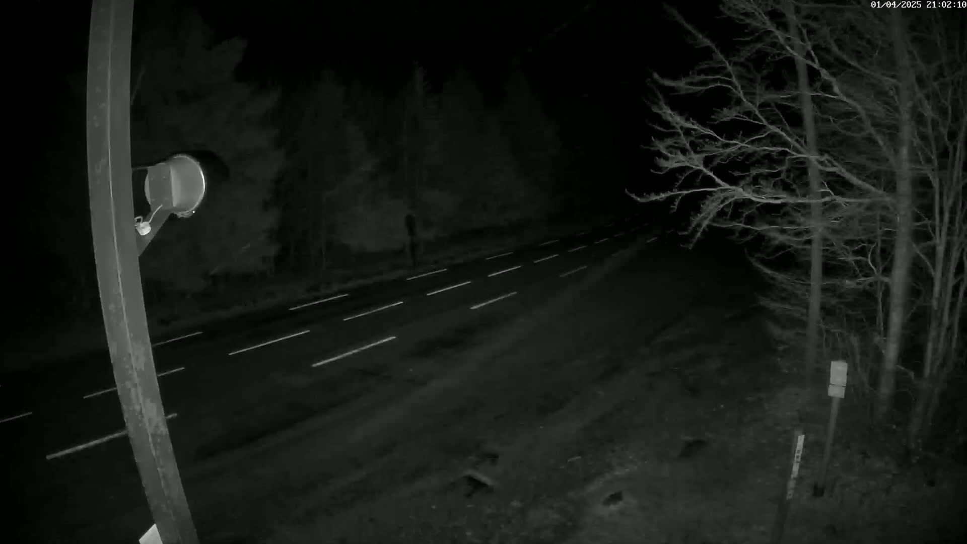 A nighttime view of a road bordered by trees, illuminated by faint white lane markings.