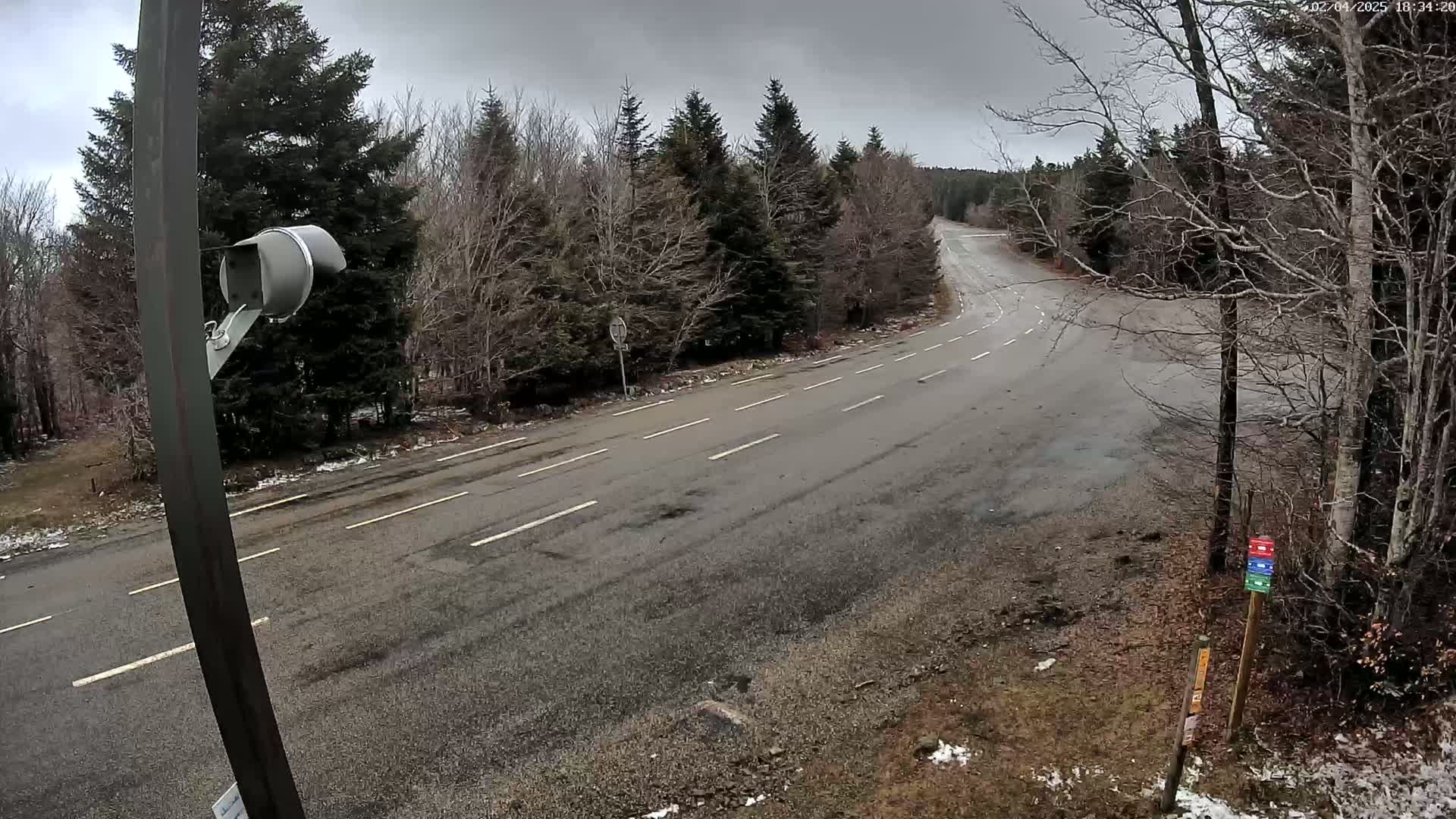 A mostly empty, two-lane road curves through a sparsely wooded area under an overcast sky.
