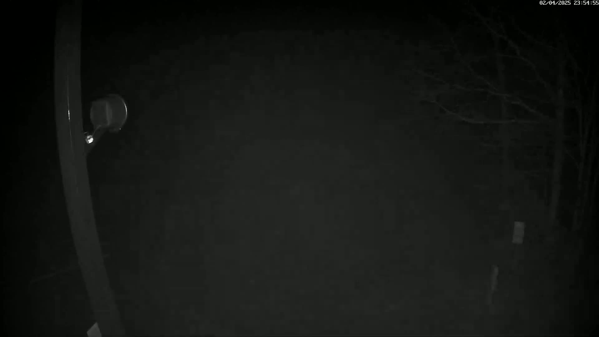 A nighttime, low-light view shows a dark, outdoor scene with bare tree branches and a portion of a metal pole with a small, round object attached to it.