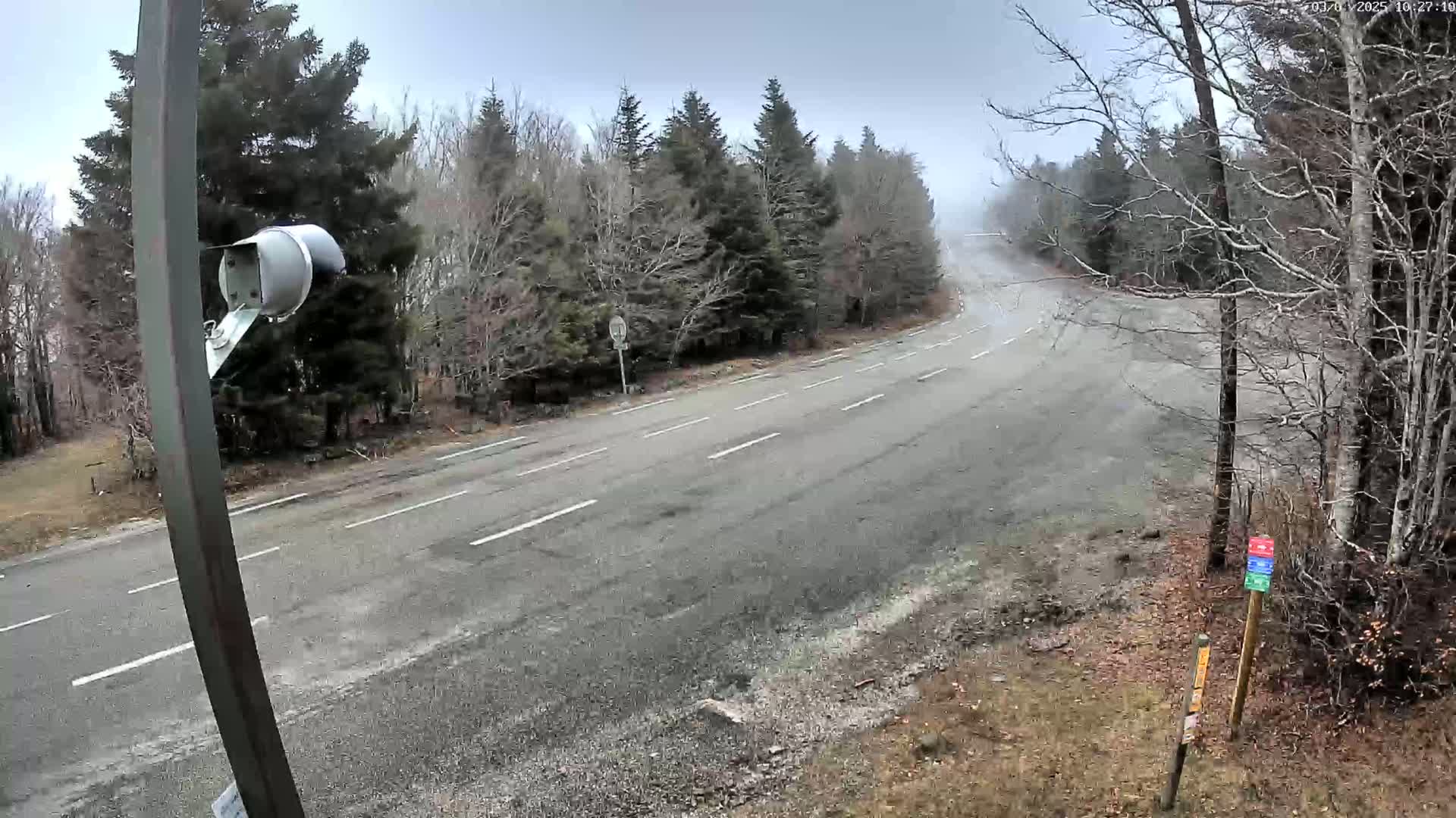 A mostly empty, two-lane road curves through a forest on an overcast day.
