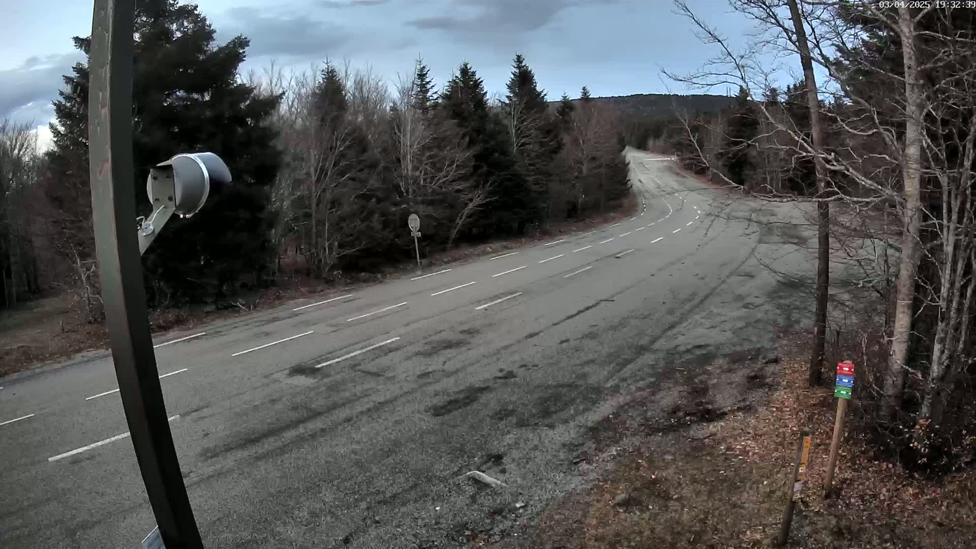 A mostly empty, paved road curves through a forest under a cloudy sky.