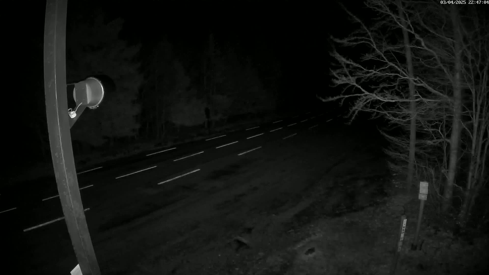 A nighttime view of a road with white lane markings, bordered by bare trees under a dark sky.