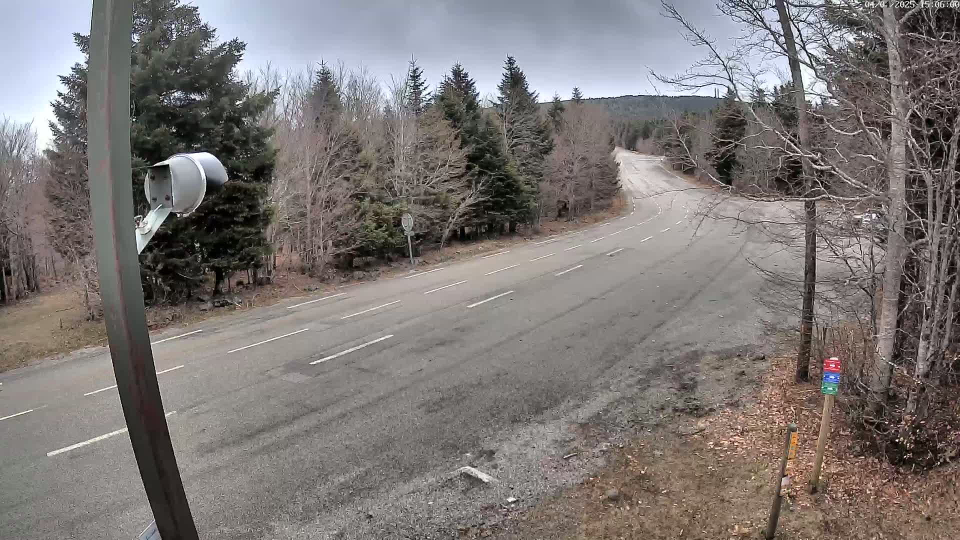 A paved road curves through a wooded area under an overcast sky.