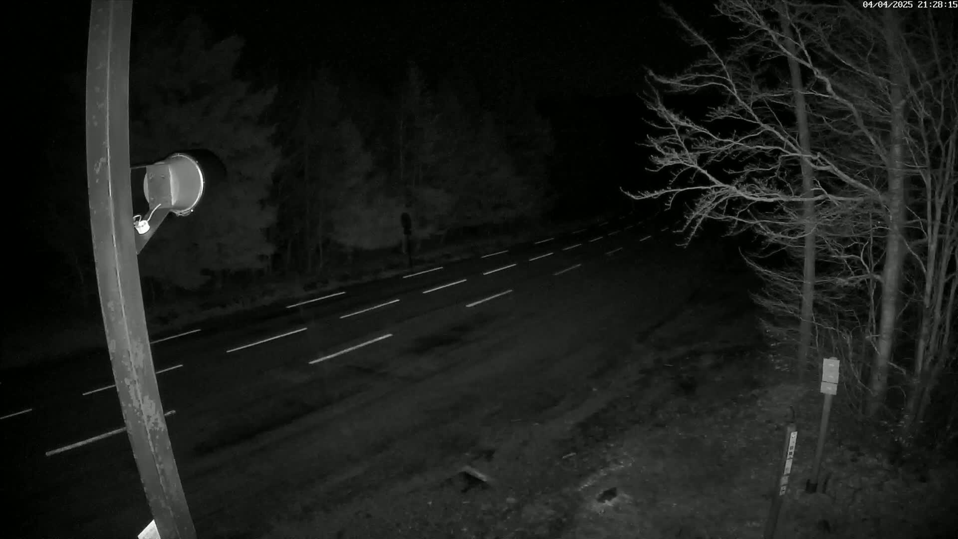 A nighttime, low-light image shows a dark road with white lane markings, bordered by bare trees and a metal post with a device attached.