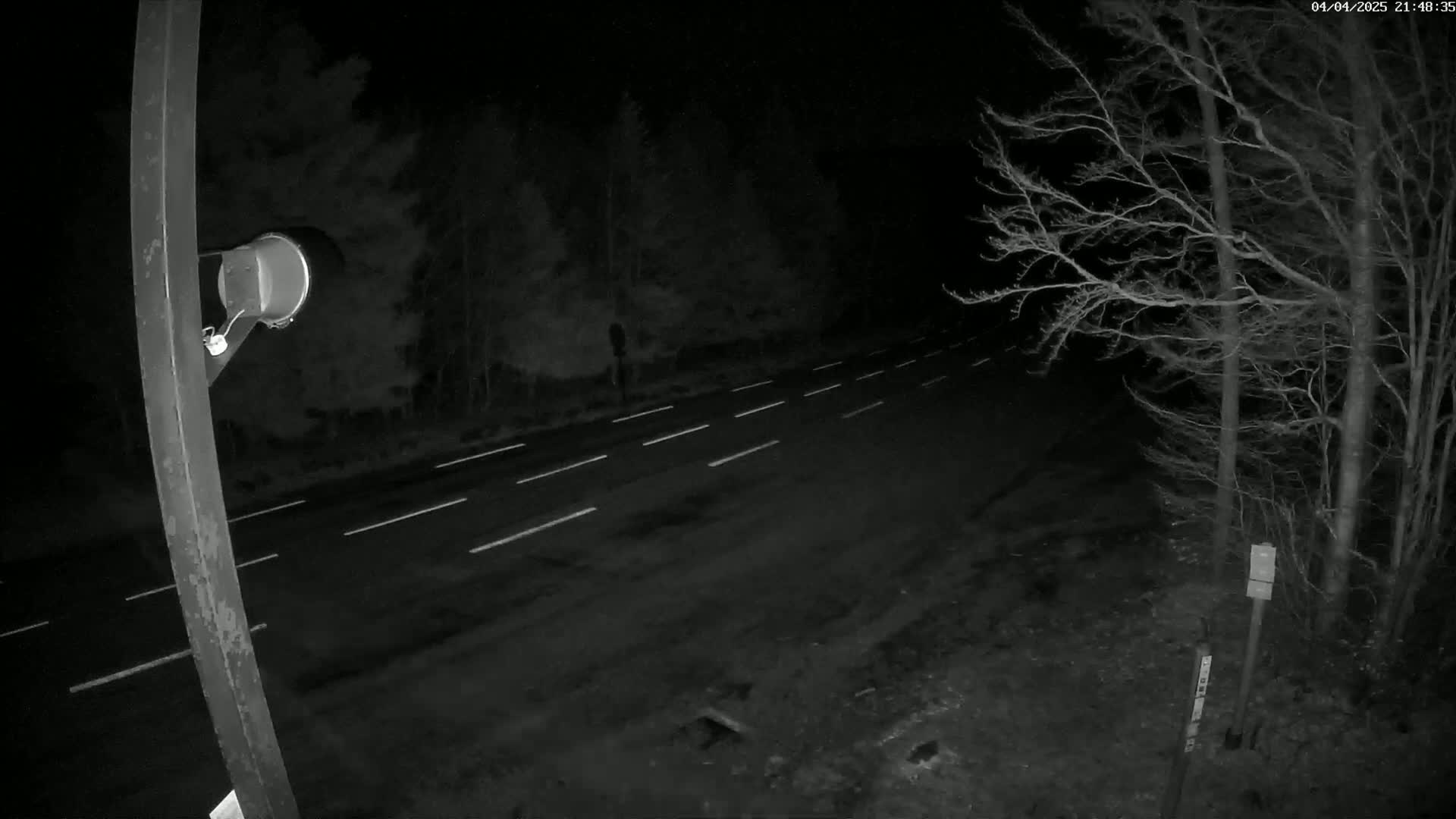 A nighttime view of a dark, empty road with white lane markings, bordered by bare trees under a dark sky.