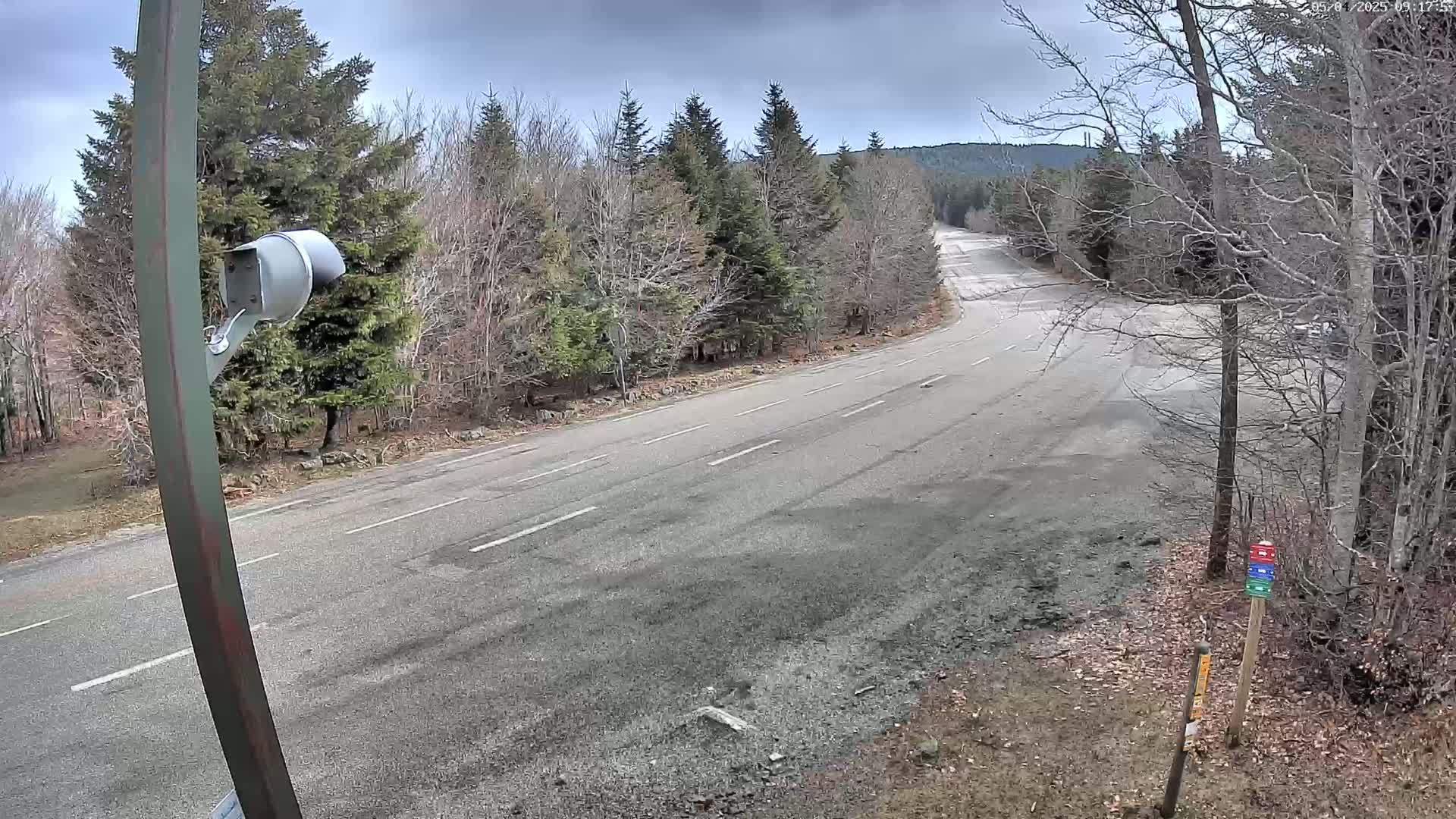 An empty, winding asphalt road curves through a sparsely wooded area under a cloudy sky.