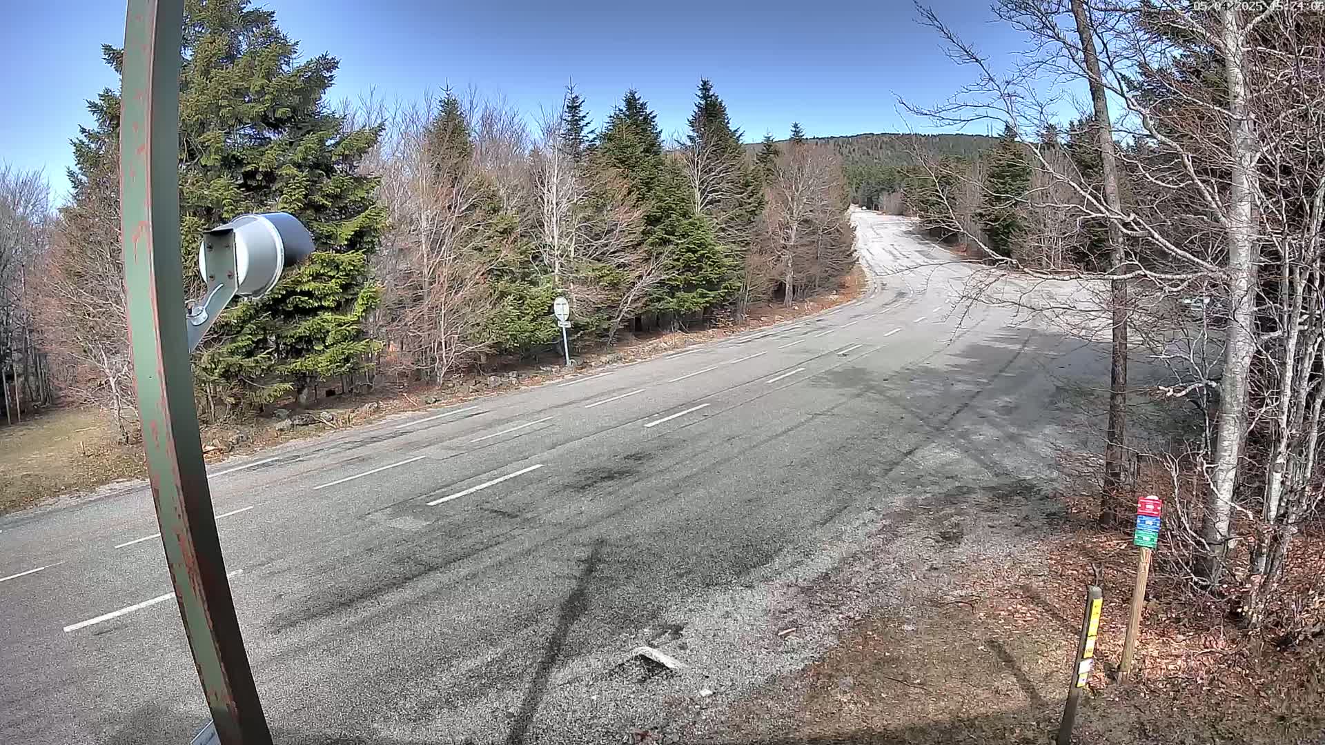 A paved road curves through a sparsely wooded area on a sunny day.