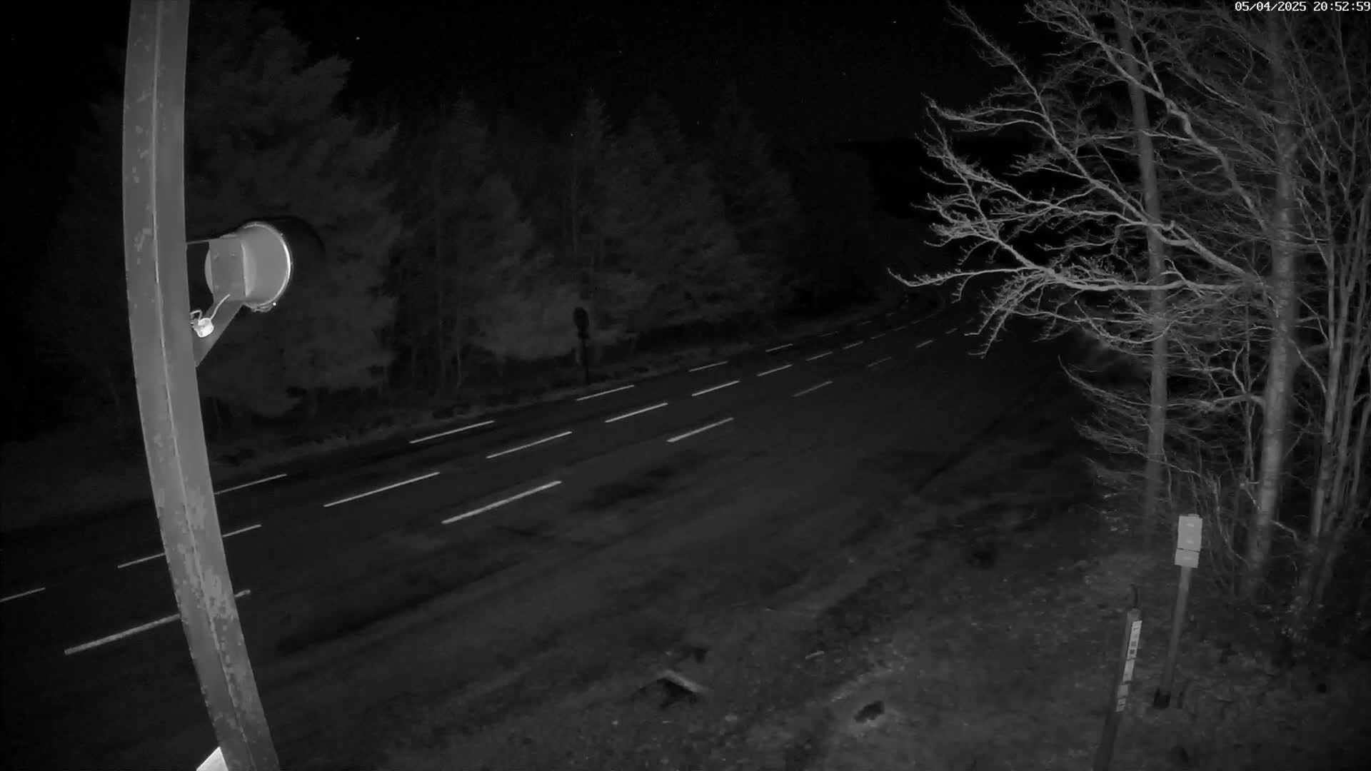 A nighttime view of a dark, empty road with white lane markings, bordered by leafless trees under a clear, starry sky.