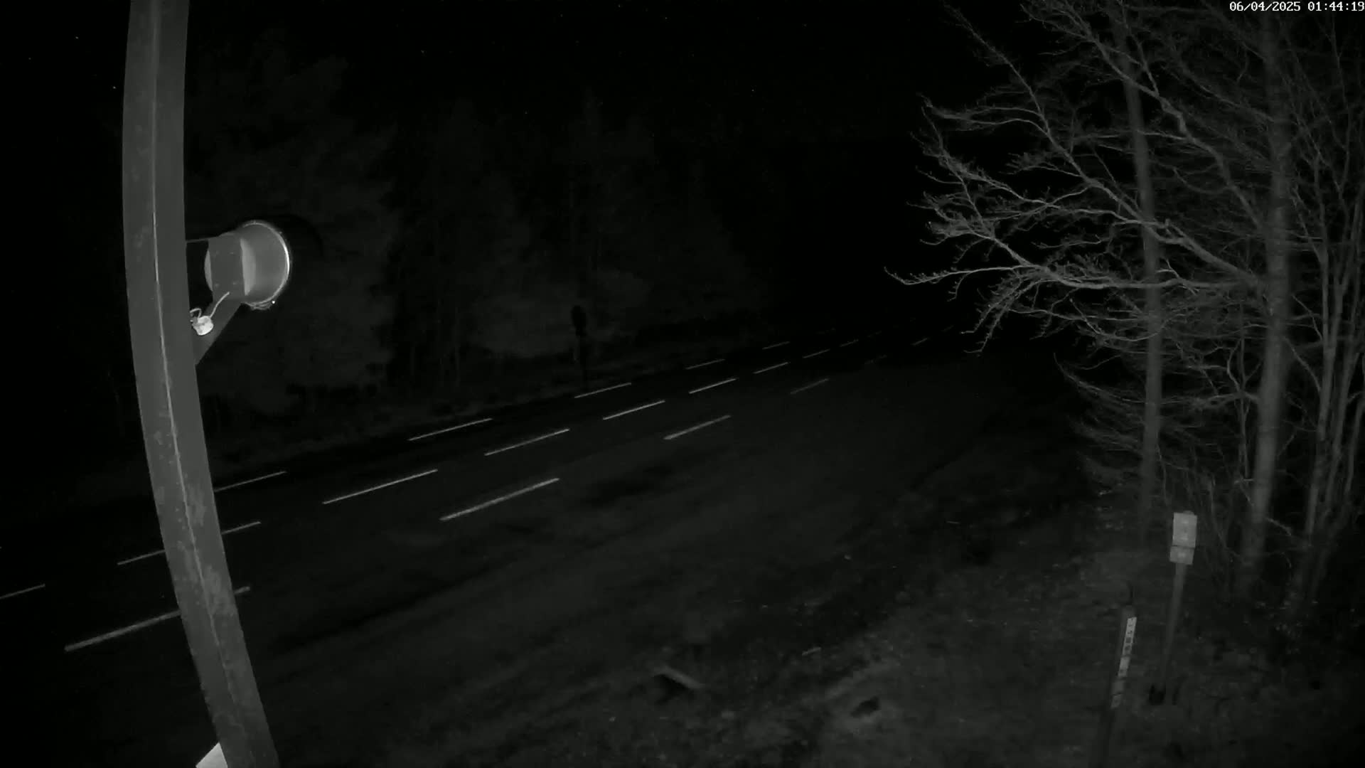 A nighttime view of a road with white lane markings, flanked by bare trees under a dark sky.