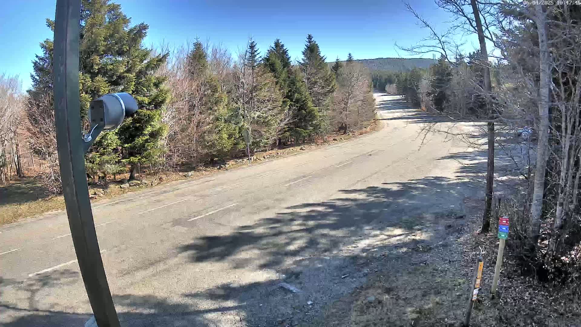 A mostly empty asphalt road curves through a sunny, wooded area.