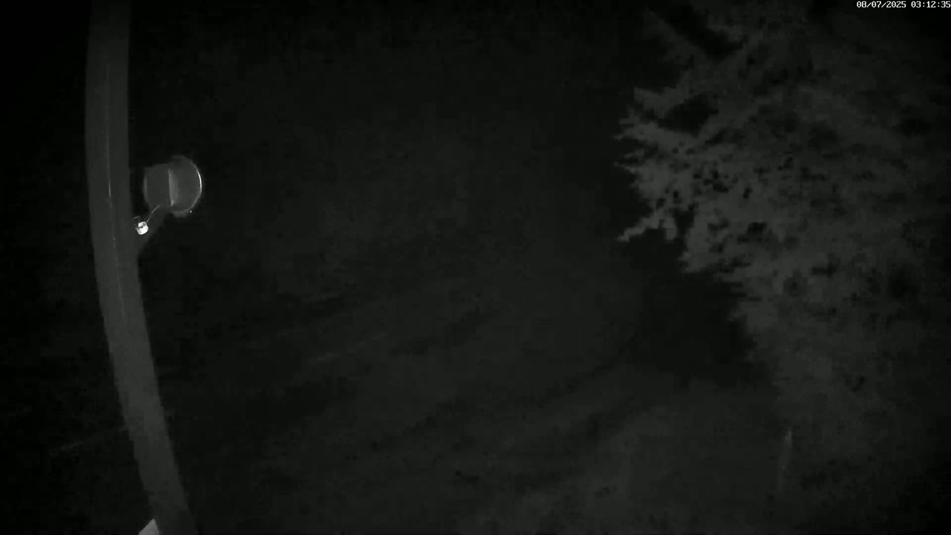 Val-d'Aigoual, Mount l'Aigoual - Station de Prat Peyrot 2 Live Cam - Le Vigan, Gard, Occitanie, France