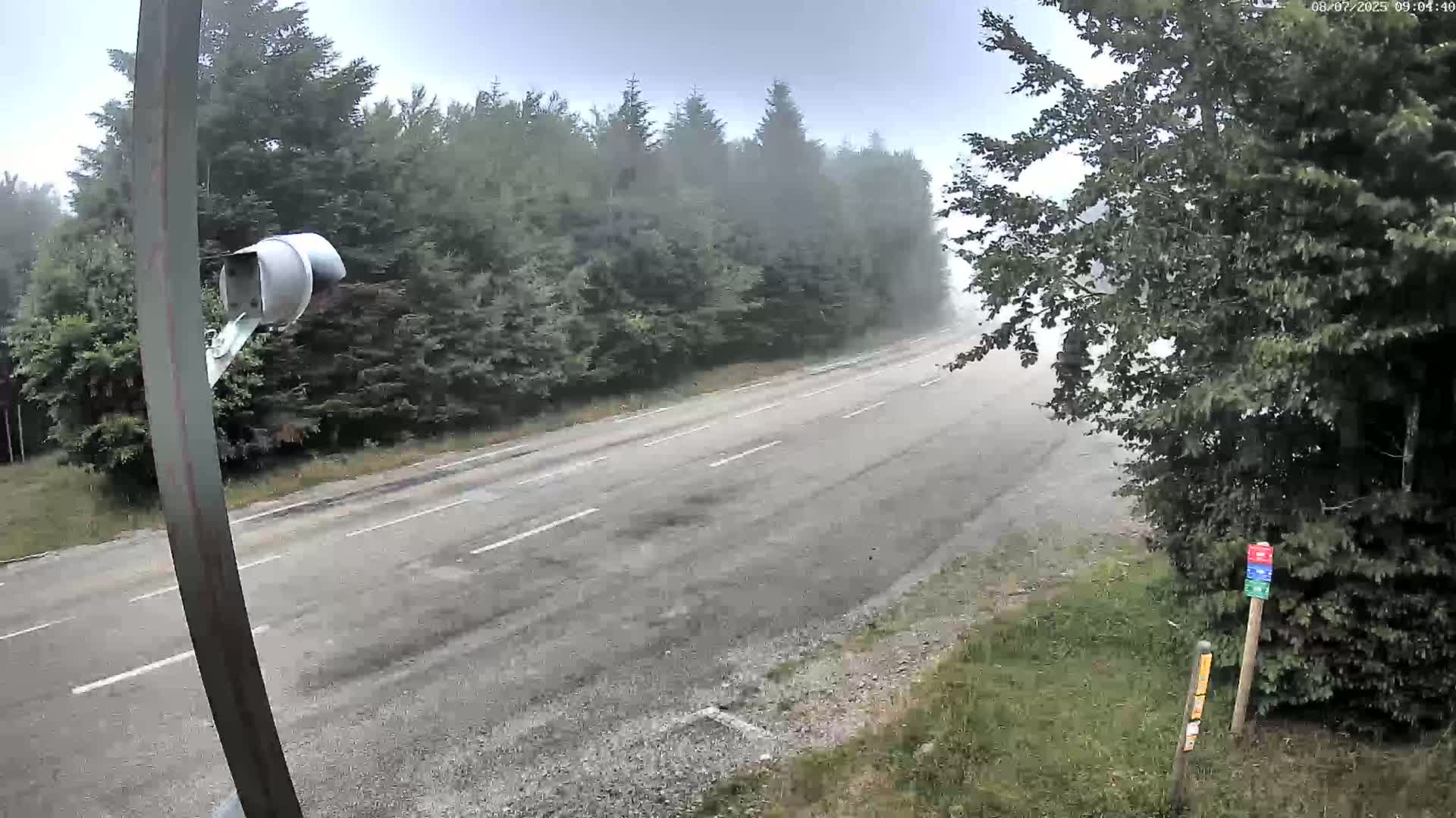 A misty, overcast day shows a mostly empty two-lane road flanked by lush green forests.