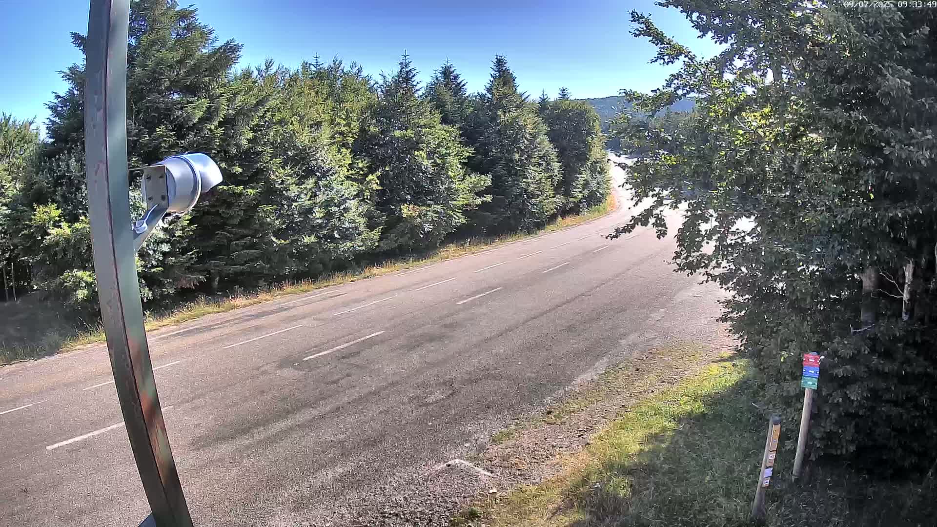 A security camera overlooks a curving, empty asphalt road surrounded by lush green trees under a clear, sunny sky.