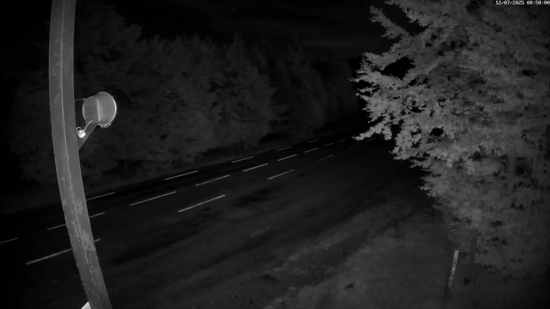 Val-d'Aigoual, Mount l'Aigoual - Station de Prat Peyrot 2 Live Cam - Le Vigan, Gard, Occitanie, France