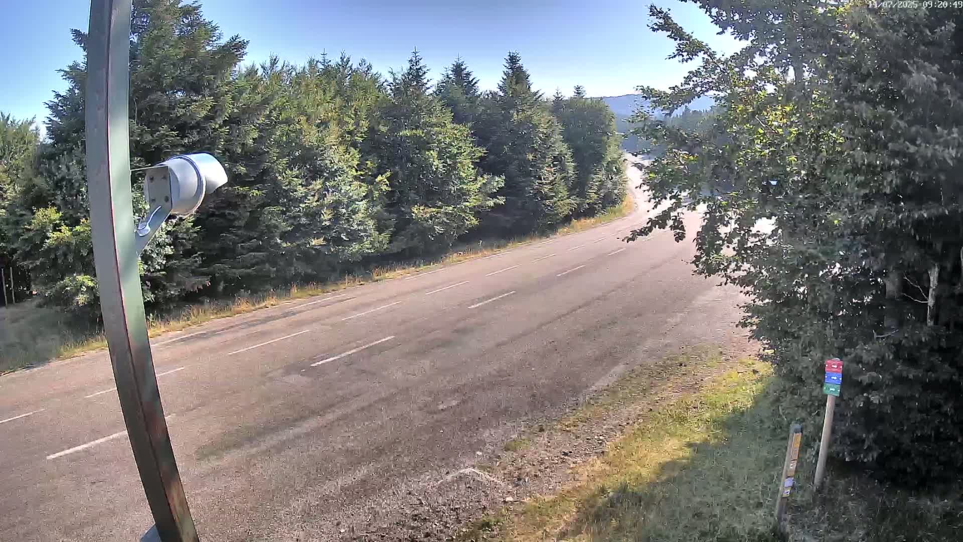 A security camera overlooks a mostly empty two-lane road curving through a forest on a sunny day.