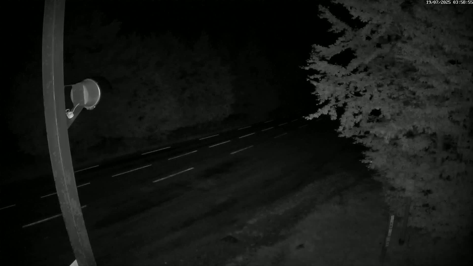 Val-d'Aigoual, Mount l'Aigoual - Station de Prat Peyrot 2 Live Cam - Le Vigan, Gard, Occitanie, France
