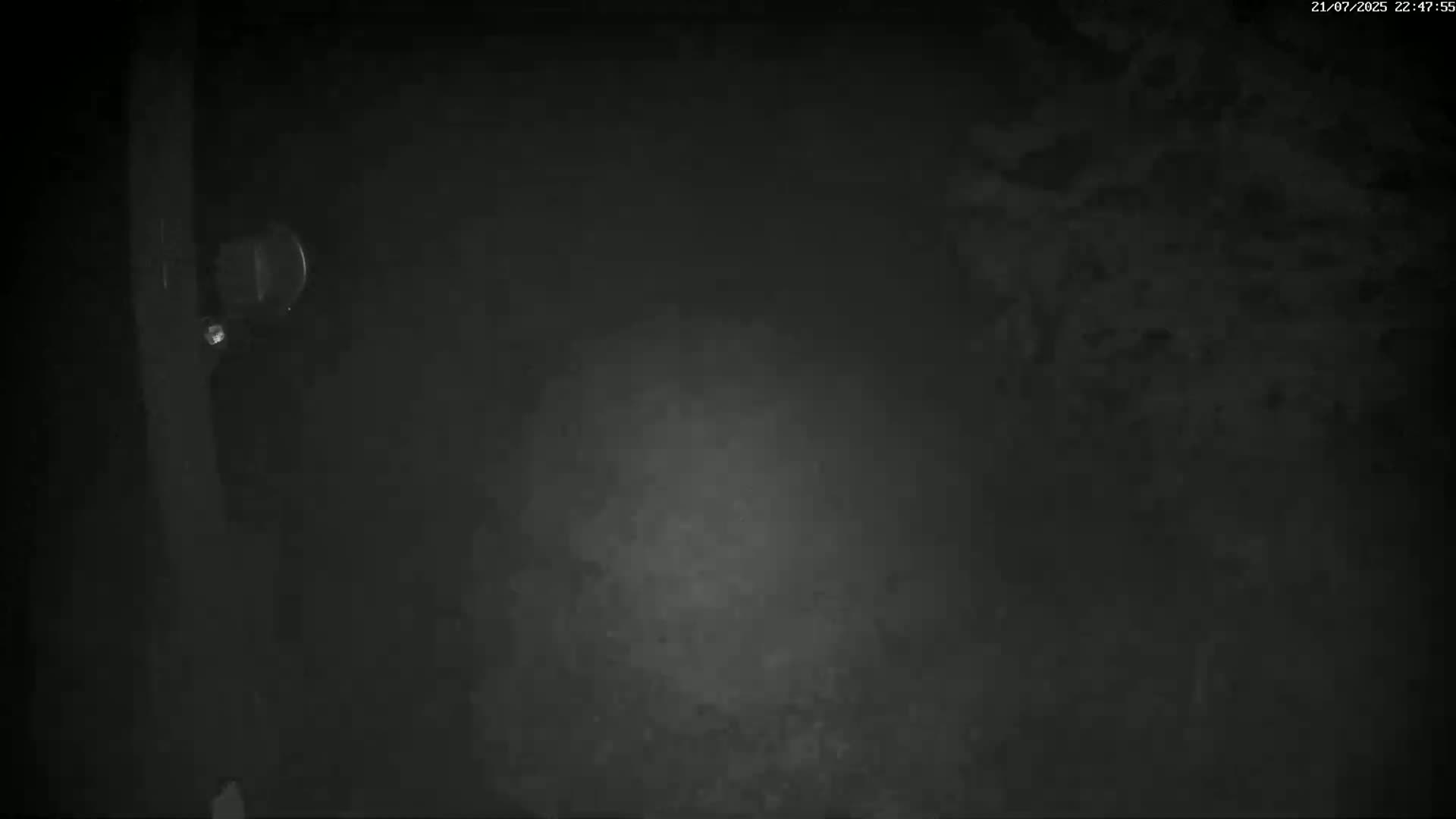 Val-d'Aigoual, Mount l'Aigoual - Station de Prat Peyrot 2 Live Cam - Le Vigan, Gard, Occitanie, France