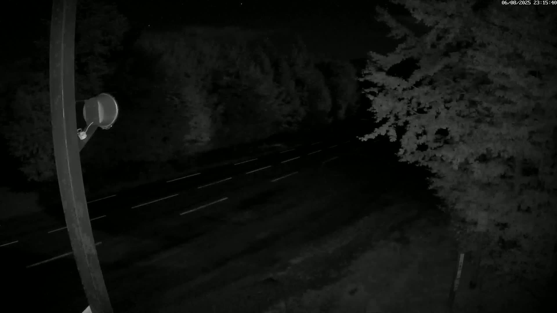 A nighttime view shows a dark road with faint white lane markings flanked by dark trees under a clear, starlit sky.