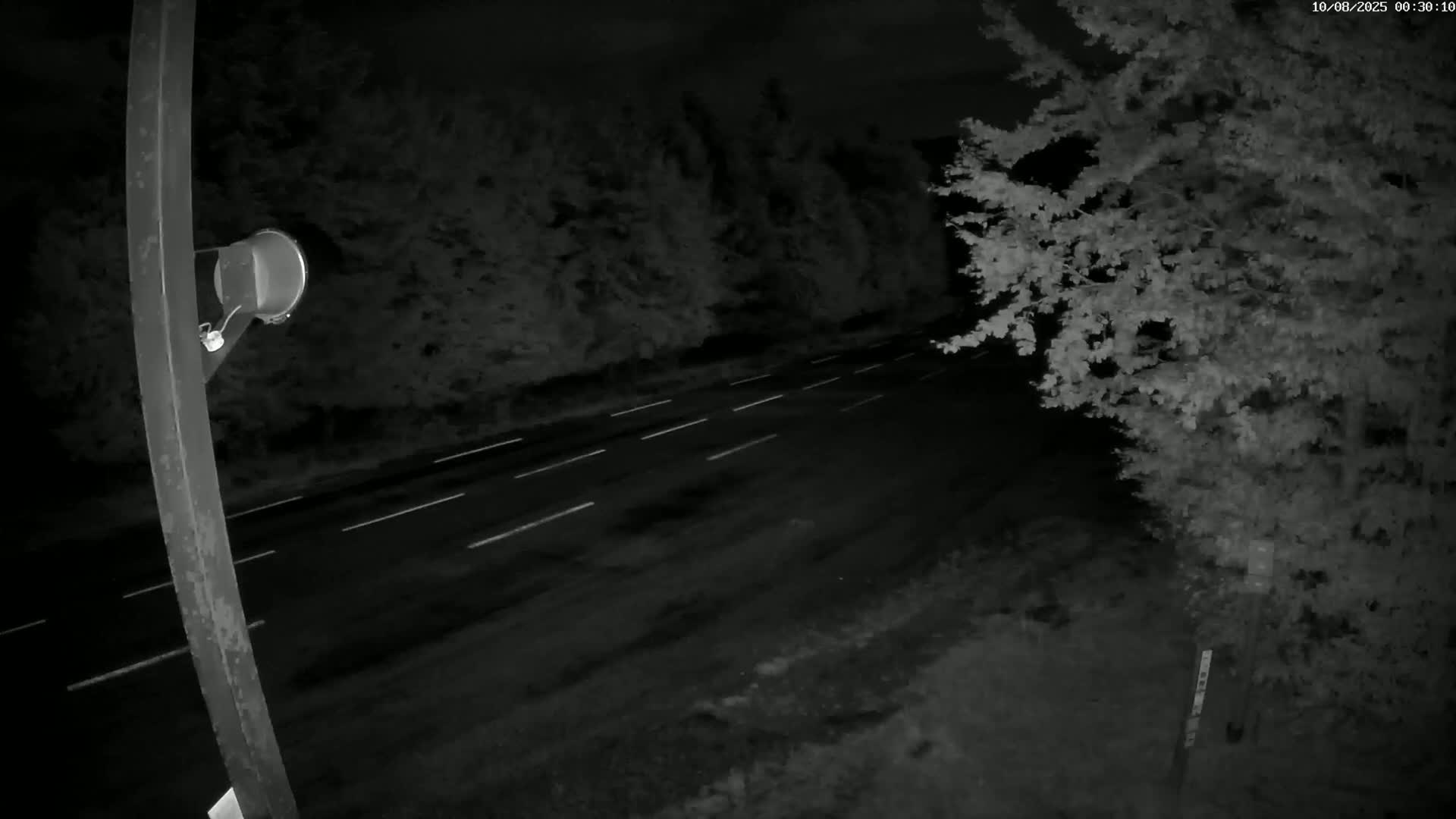 Val-d'Aigoual, Mount l'Aigoual - Station de Prat Peyrot 2 Live Cam - Le Vigan, Gard, Occitanie, France