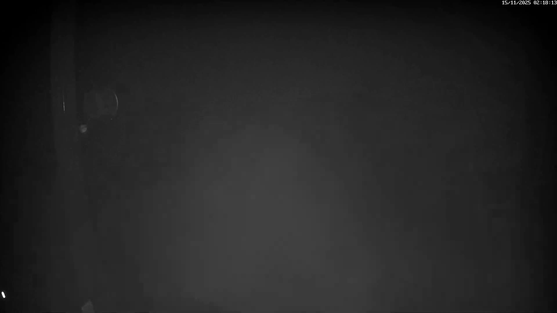 Val-d'Aigoual, Mount l'Aigoual - Station de Prat Peyrot 2 Live Cam - Le Vigan, Gard, Occitanie, France